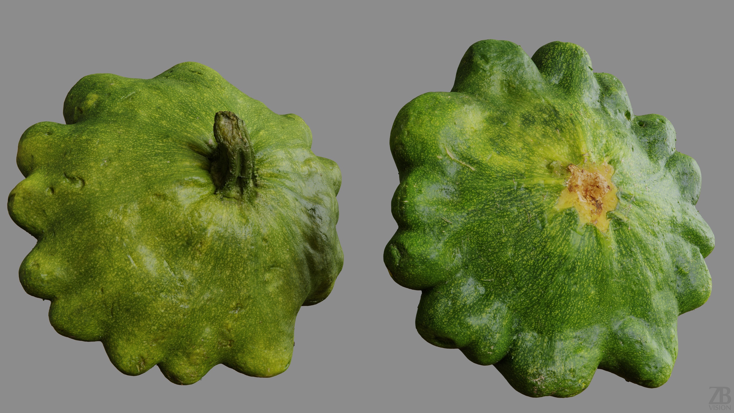Media 1 for listing Zucchini 002