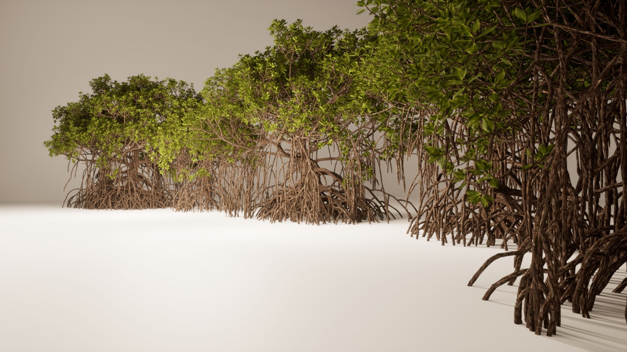 Media 1 for listing Mangrove Pack - Full Geometry