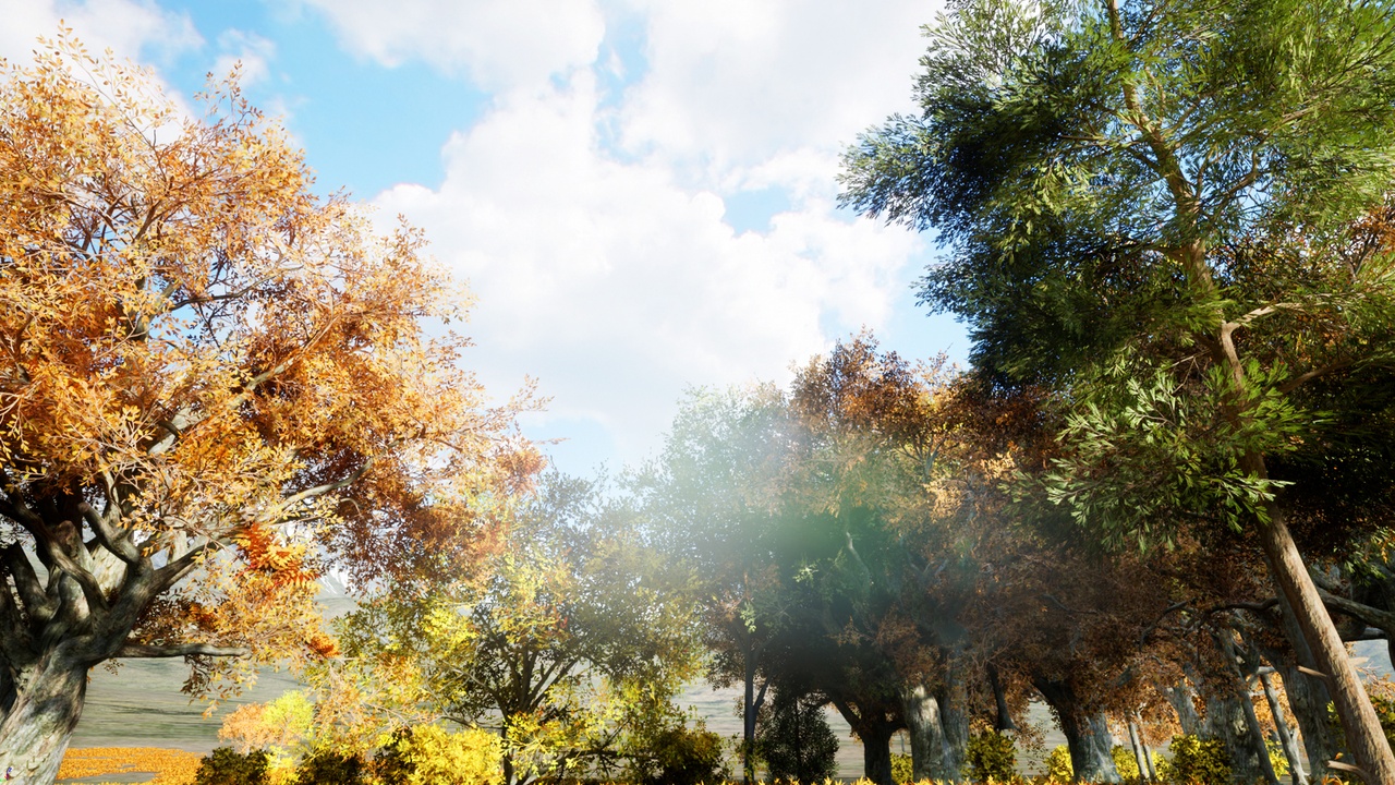 Media 1 for listing Autumn  realistic forest pack