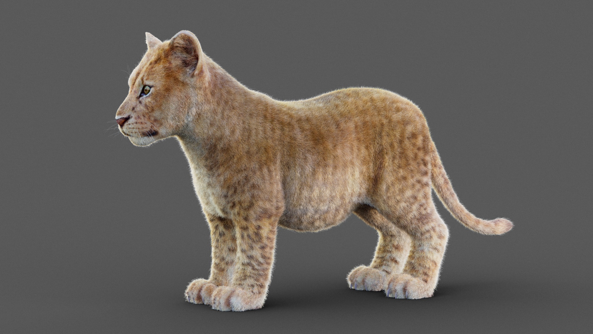 Media 1 for listing Lion Cub (XGEN-CORE) (RIG)