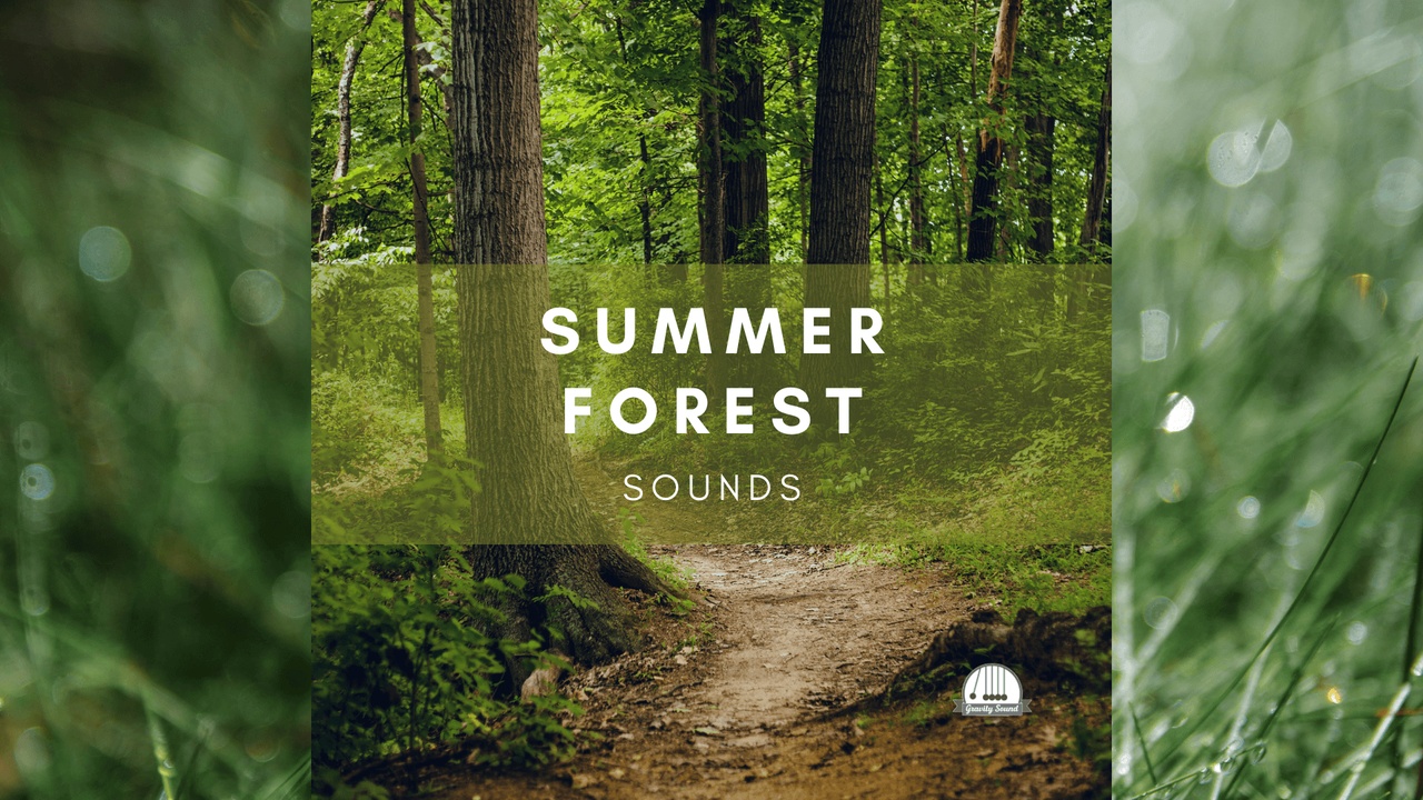 Media 1 for listing Summer Forest Sounds