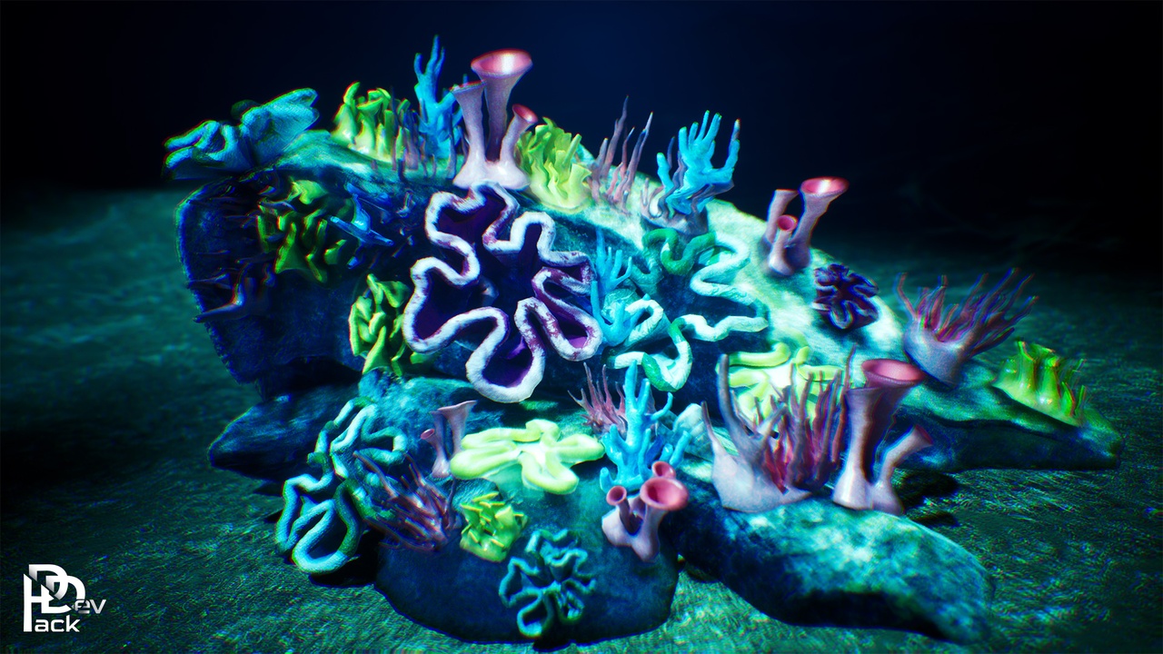 Media 1 for listing Coral Props / 40 Assets