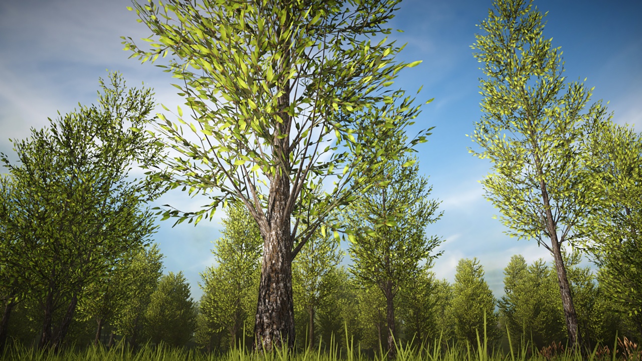 Media 1 for listing Mobile Trees Bundle 5