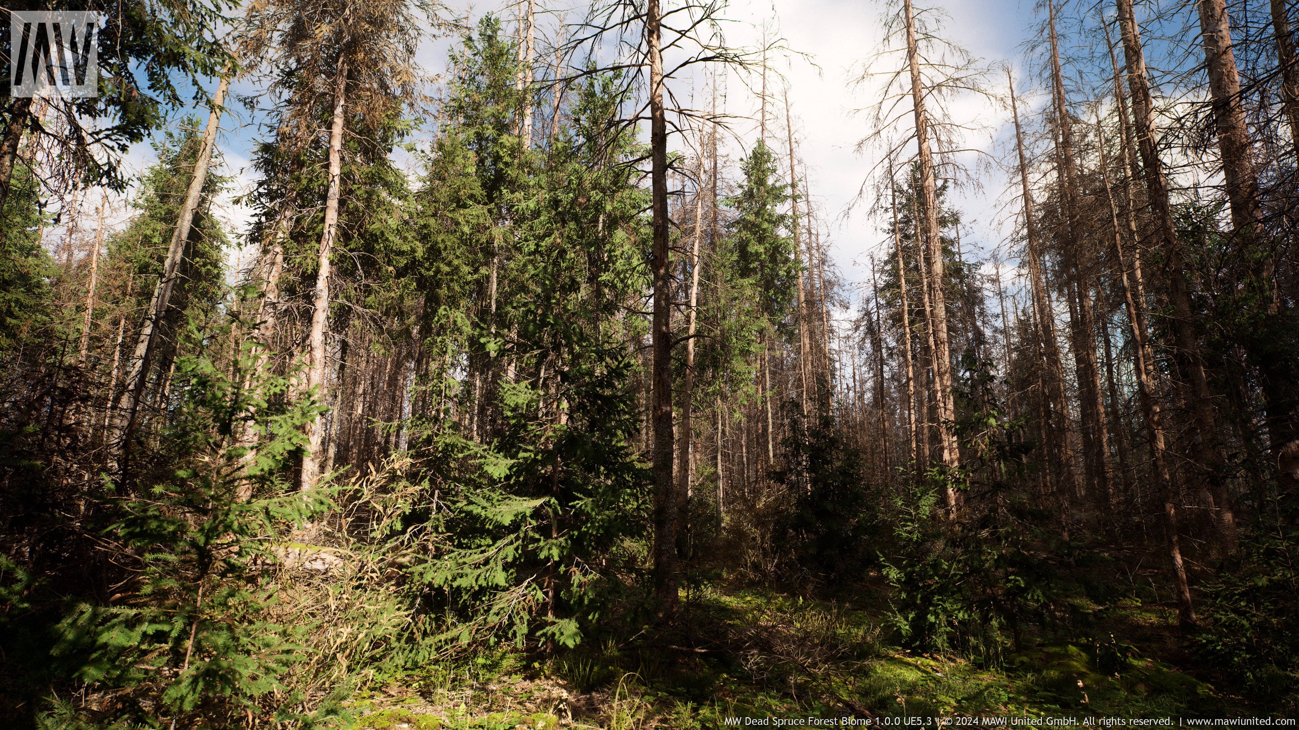 Media 1 for listing MW Dead Spruce Forest Trees Biome