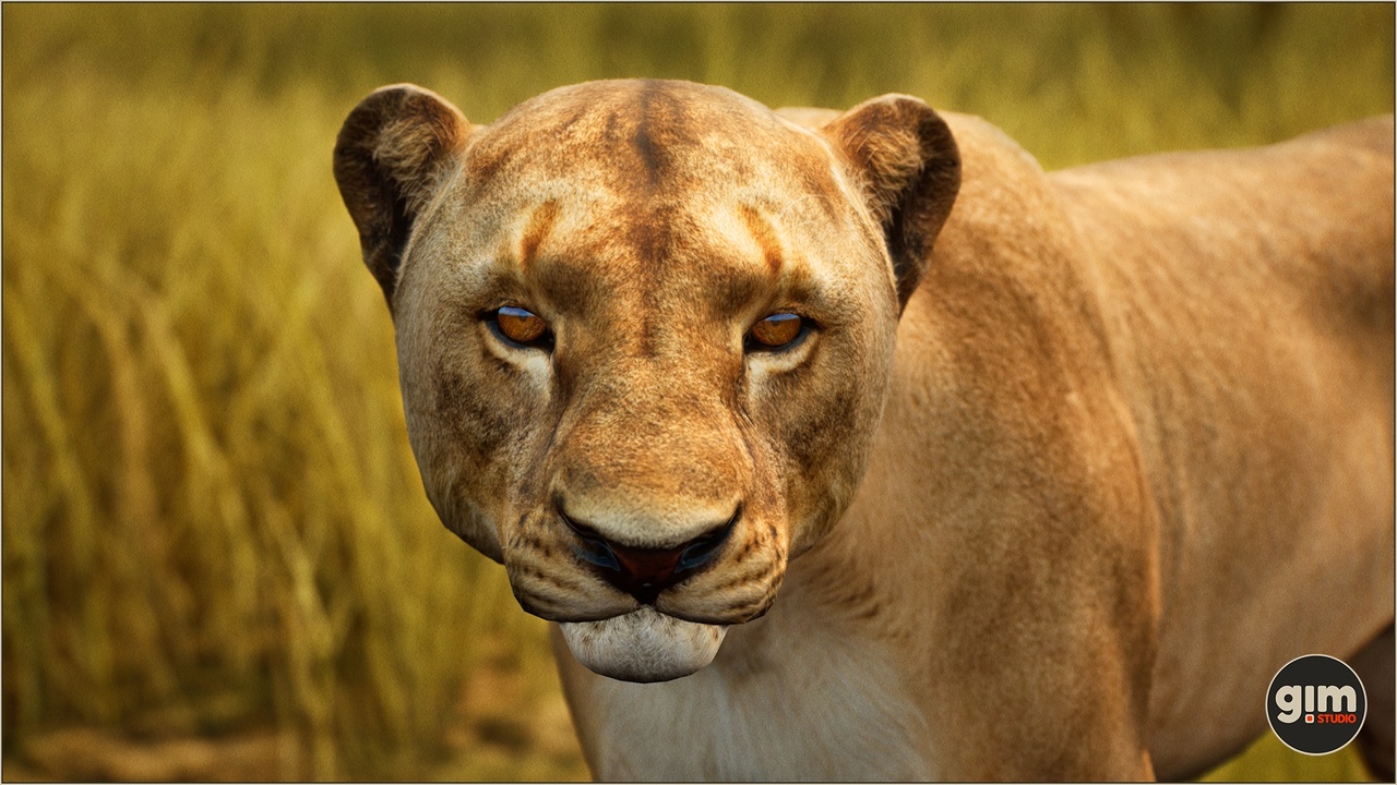 Media 1 for listing Animalia - Lion (female)