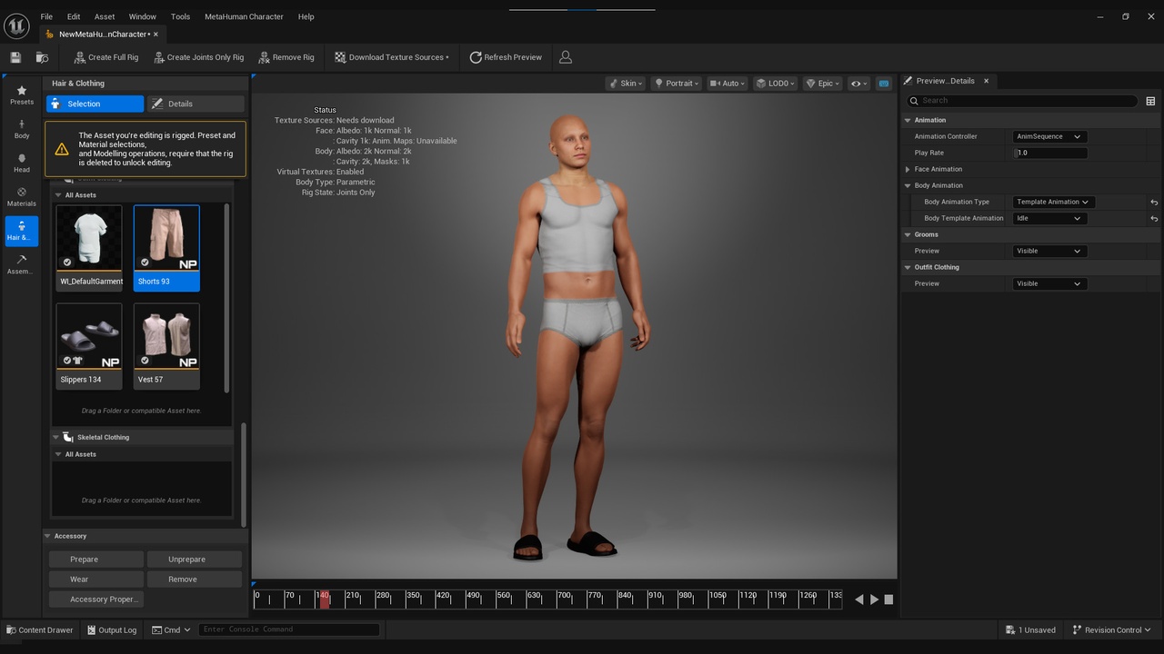 Media 1 for listing Summer Outfit for Metahuman 2 - MHPKG