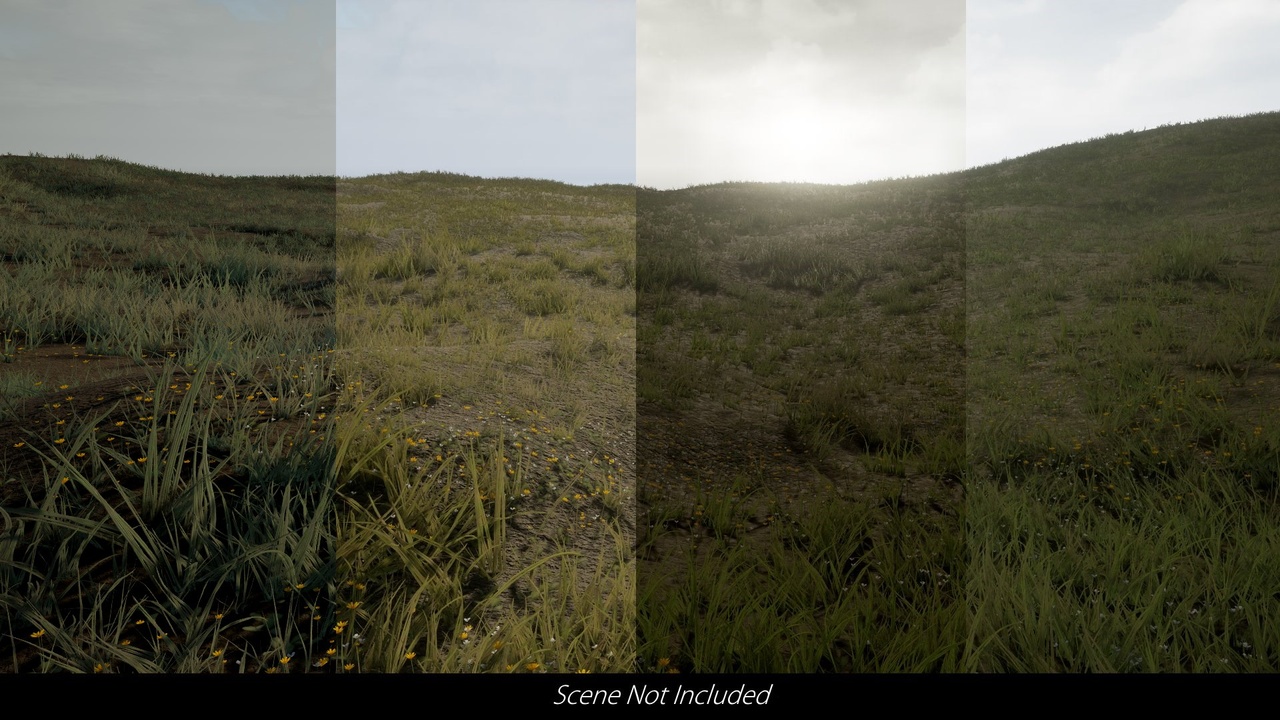 Media 1 for listing Customizable Grass