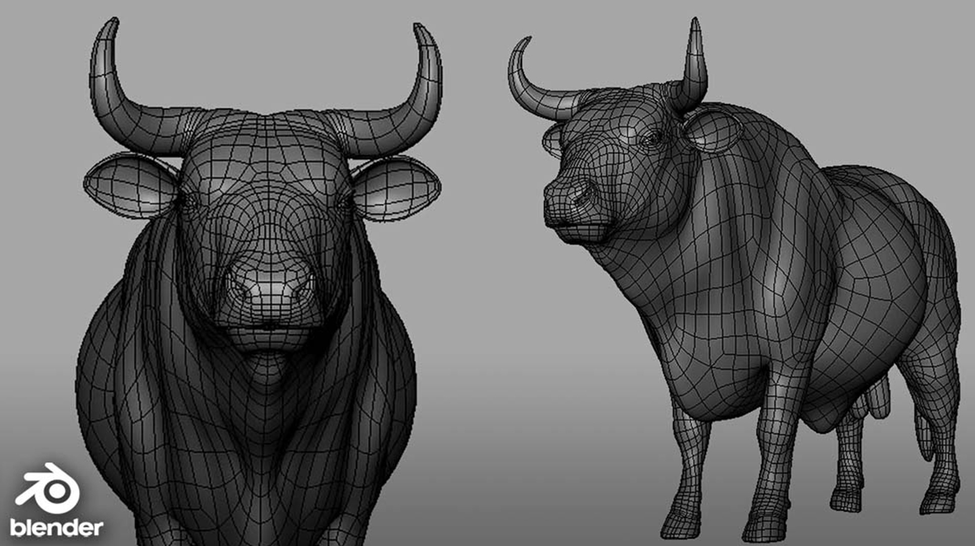 Media 1 for listing Bull BaseMesh - Topology + UV Map