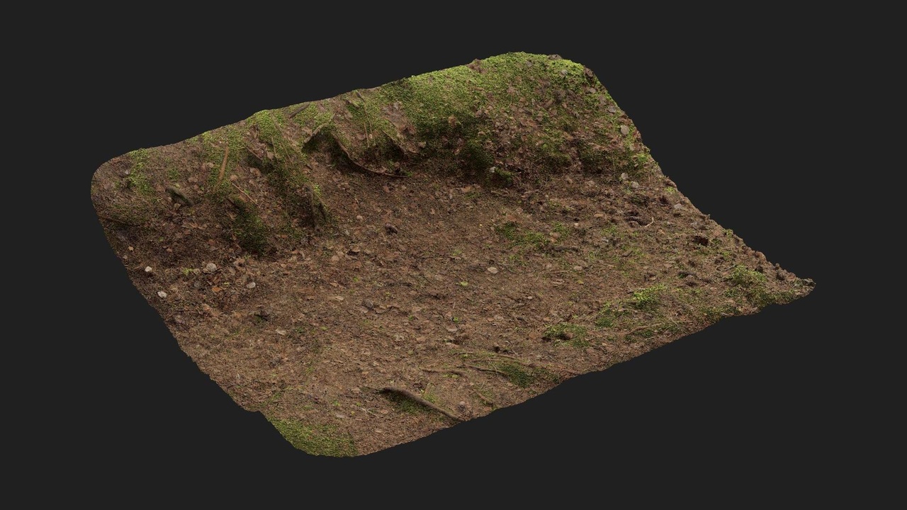 Media 1 for listing Mossy Embankment
