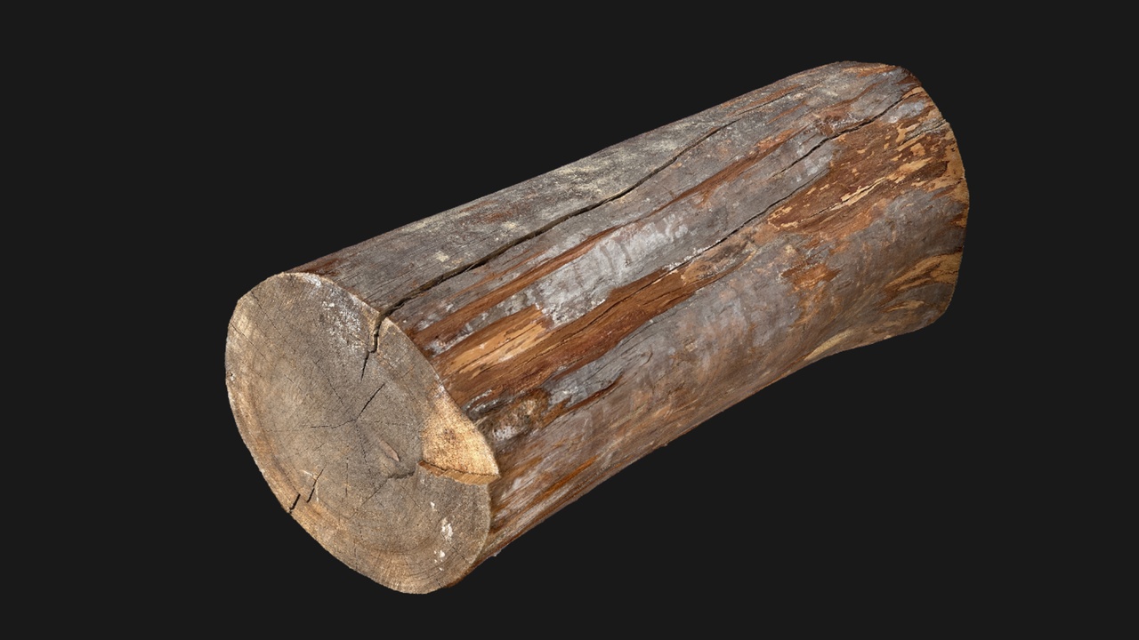 Media 1 for listing Cylinder Sawn tree trunk wood 3d scan highpoly