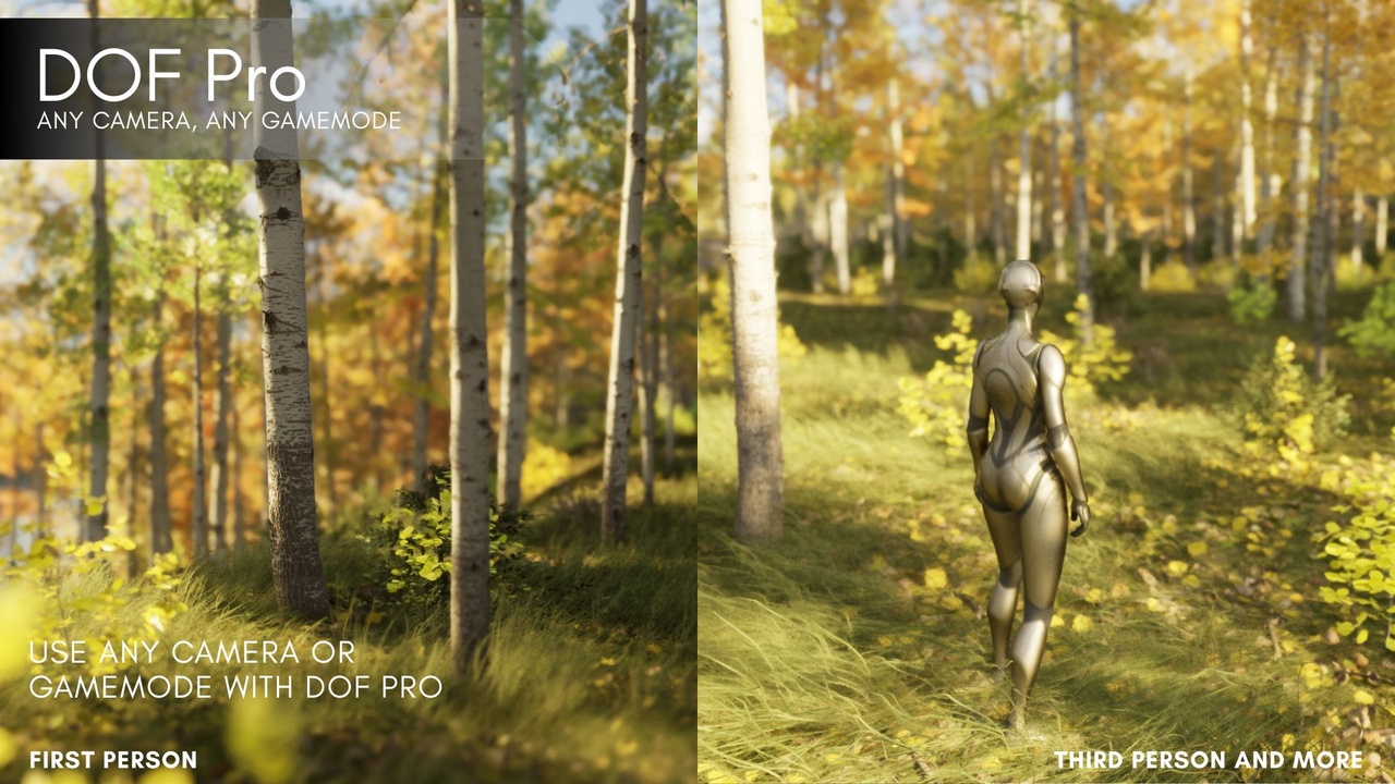 Media 1 for listing DOF Pro