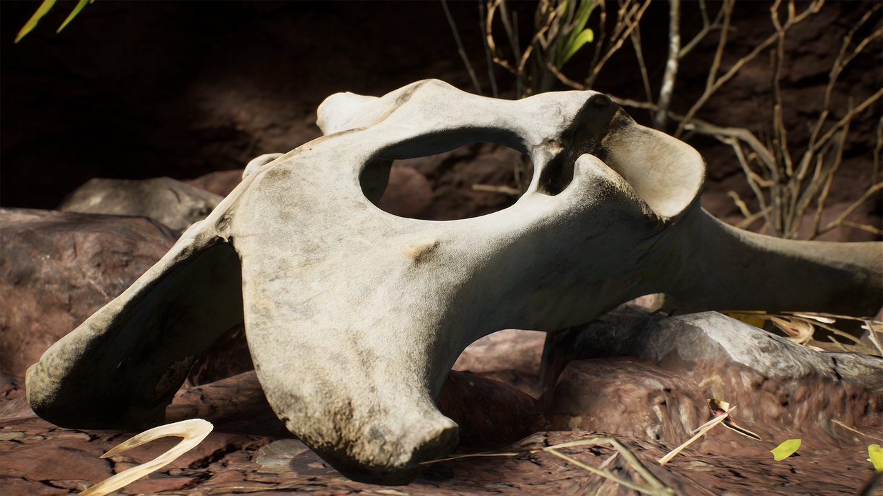 Media 1 for listing Dry Animal Bones - Photoscan Vol 2.