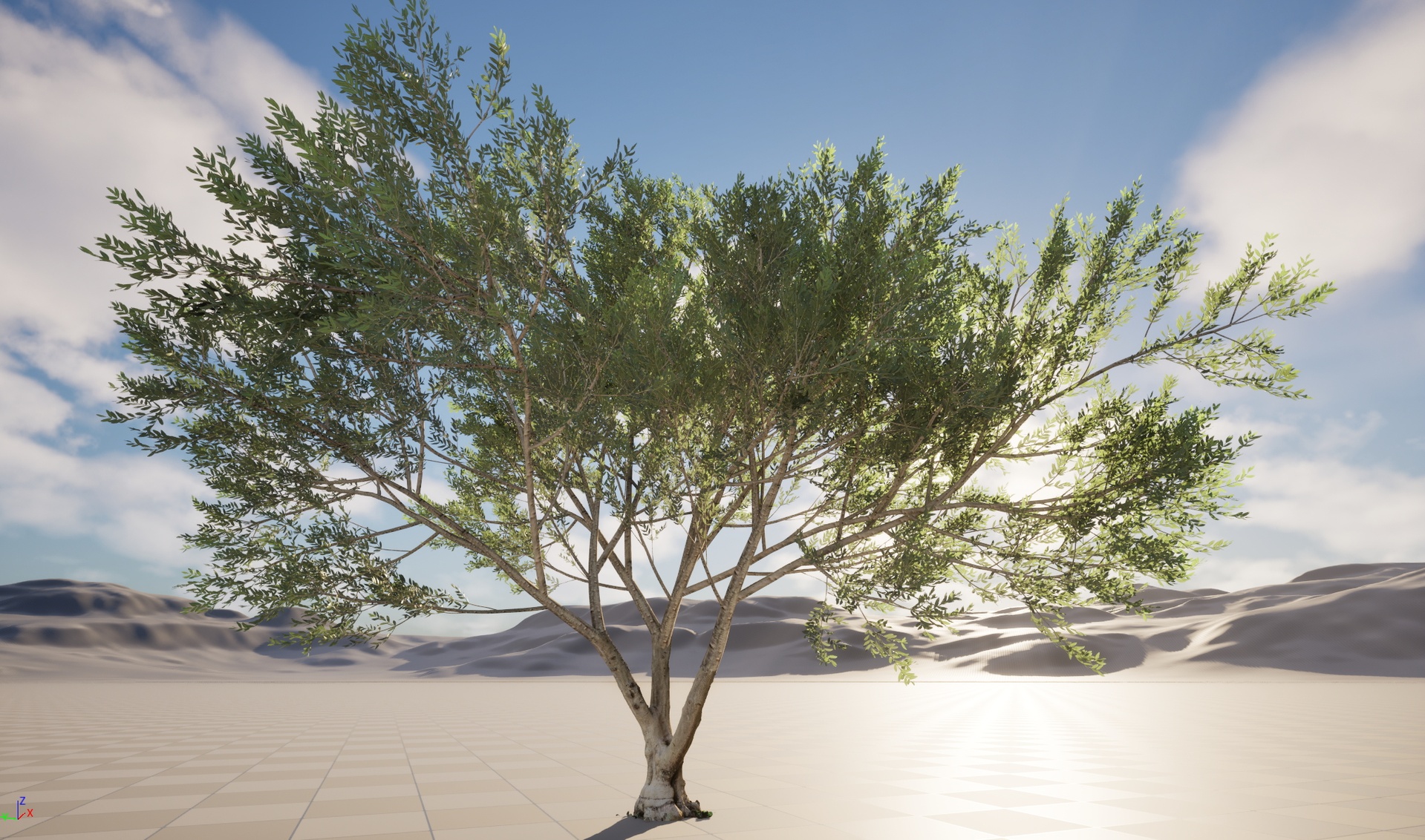 Media 1 for listing Nanite Wind Plants - Scanned Olea europaea - Common olive Pack 13