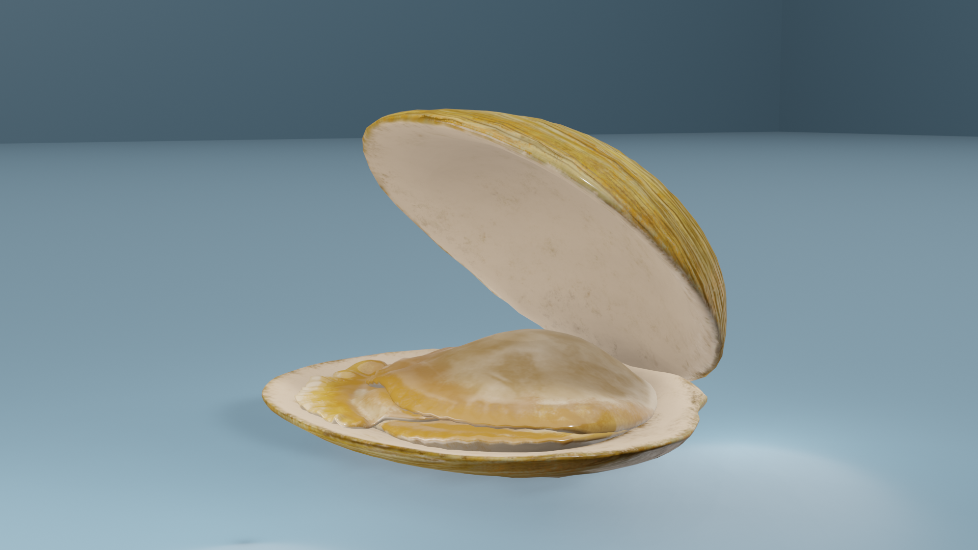 anna nina Bali Shell Wall | Fab