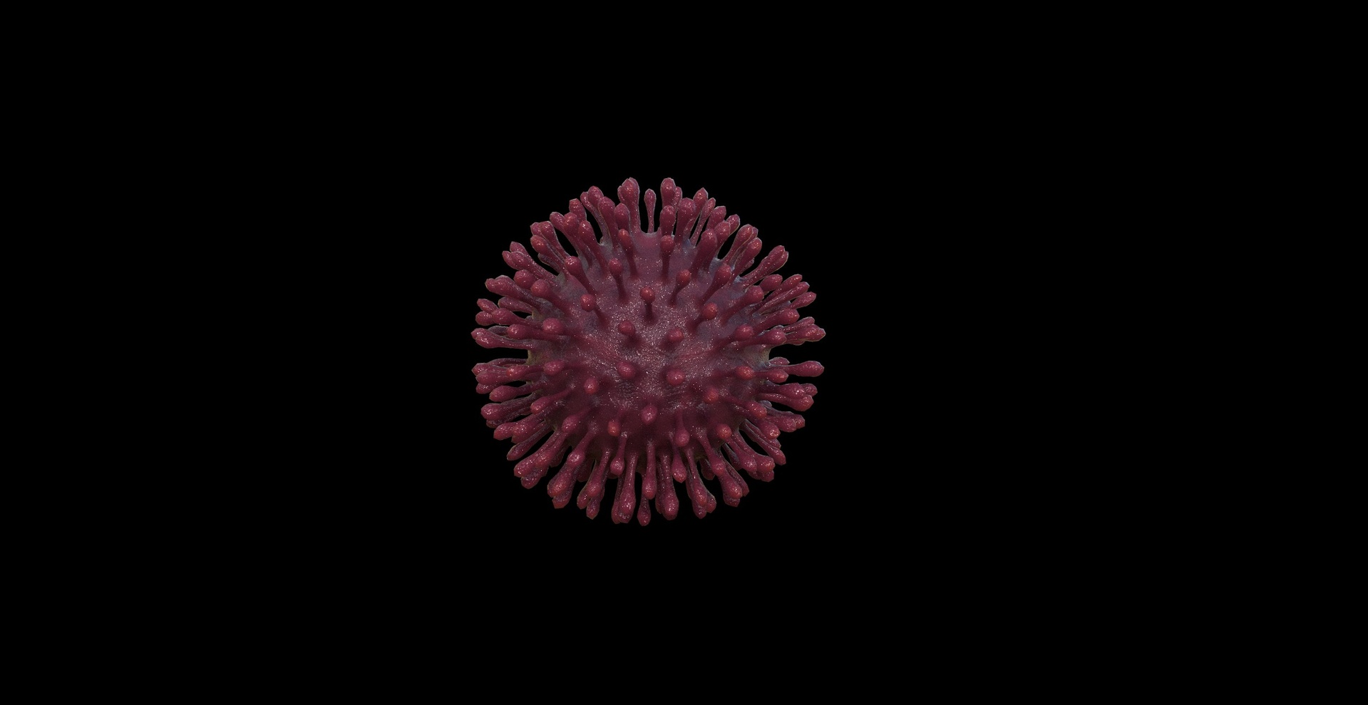 Media 1 for listing Hypercube Virus