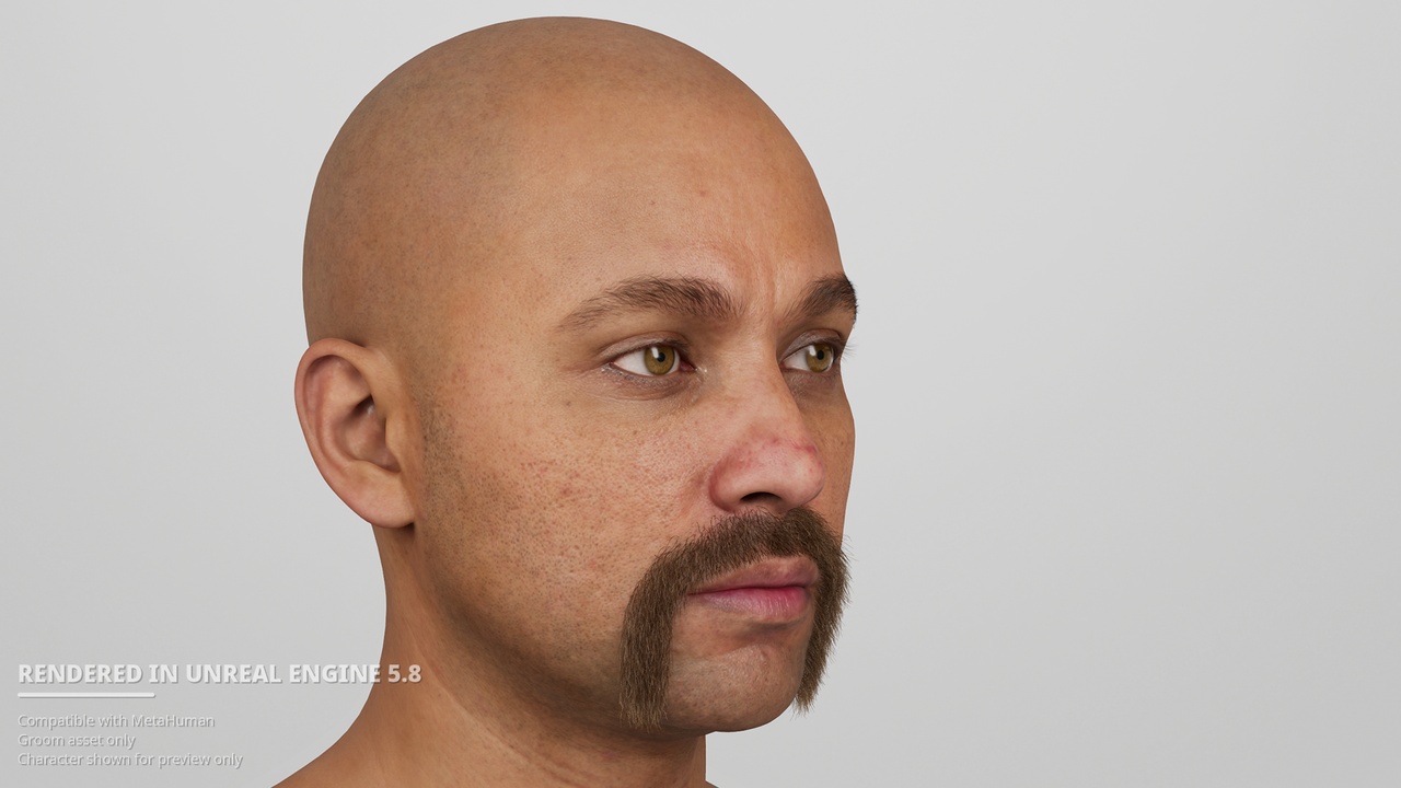 Media 1 for listing Horseshoe Moustache wider ver - MetaHuman Groom
