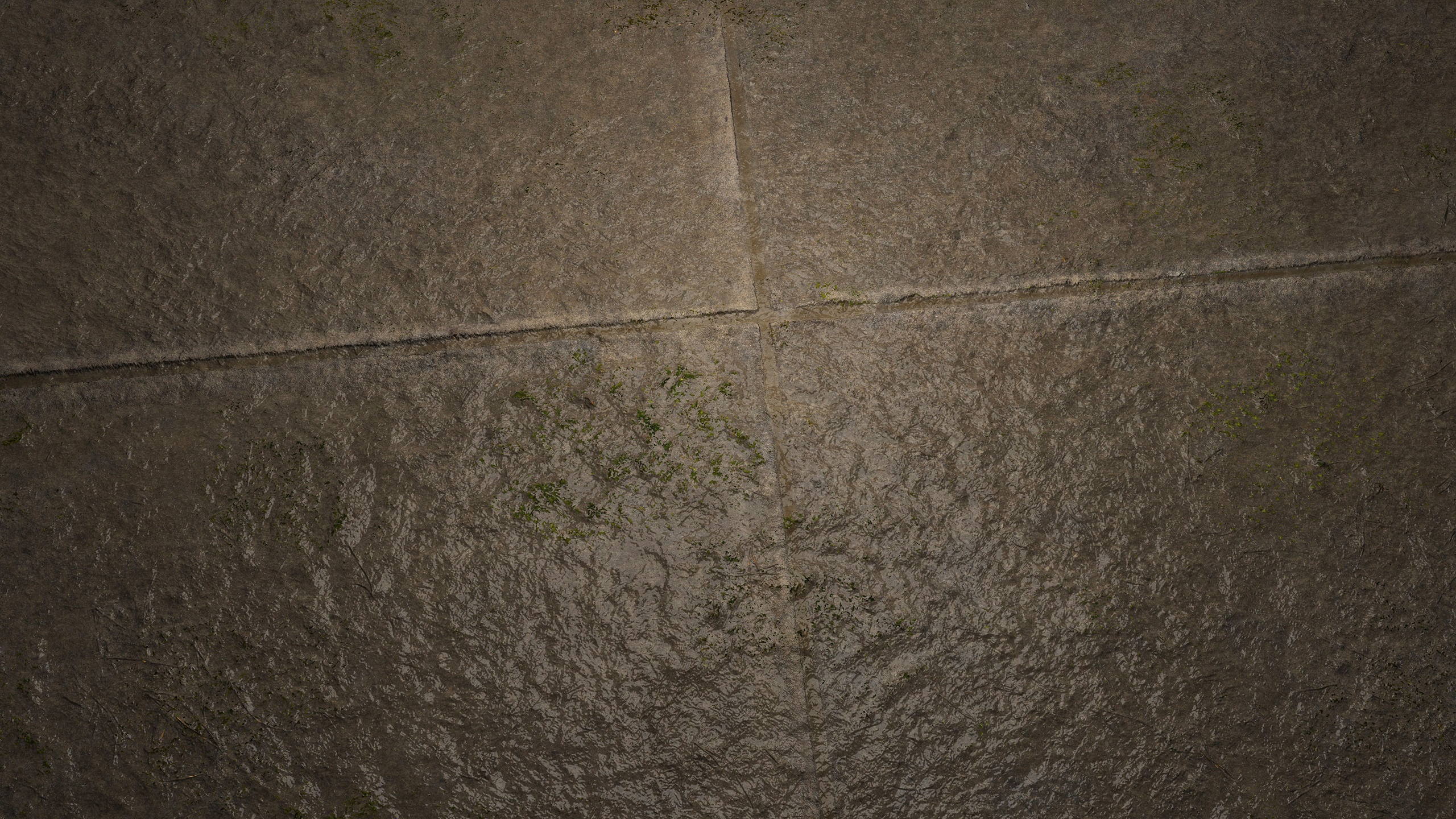 Media 1 for listing Wet Flagstones 8K PBR Texture
