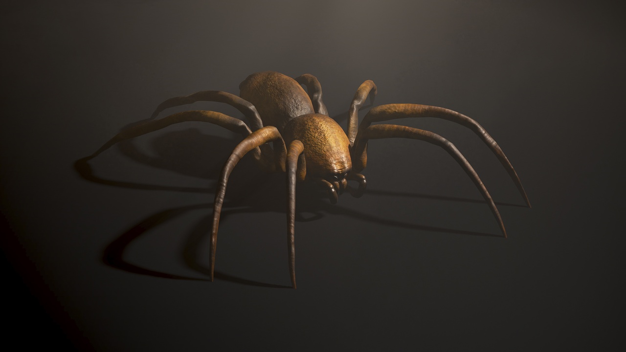 Land Spider1 제품 등록을 위한 미디어 1개
