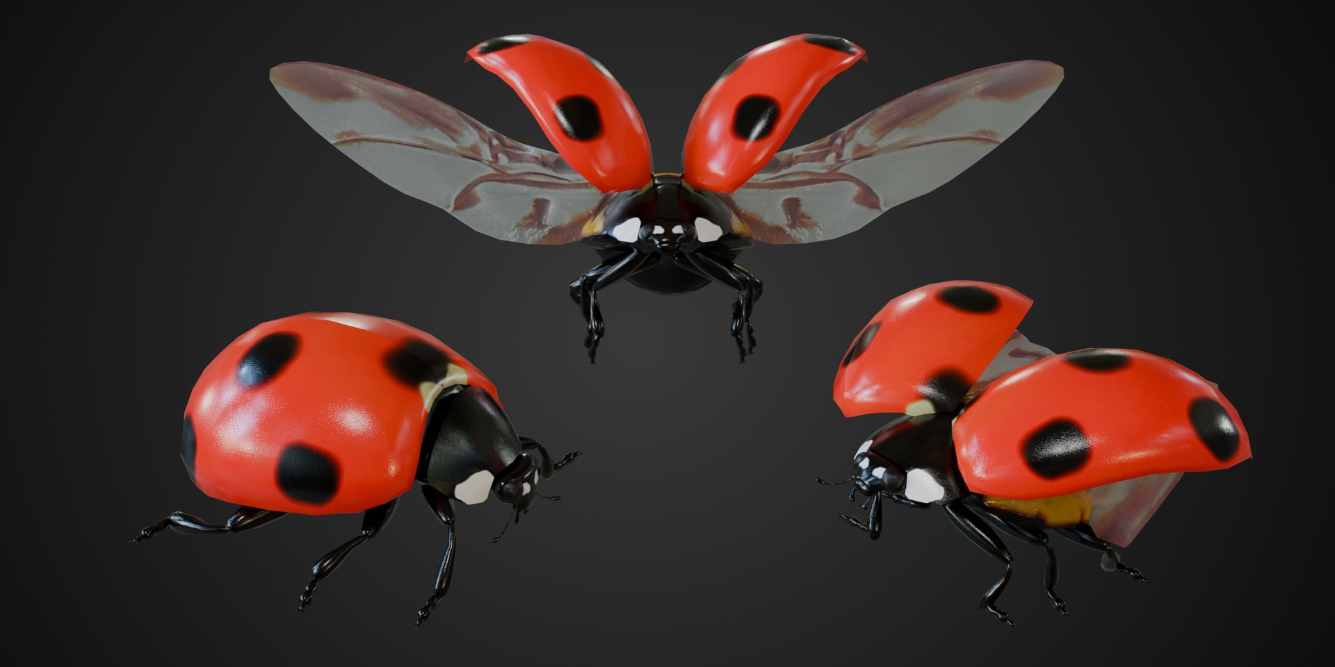 Media 1 for listing Animated Ladybug