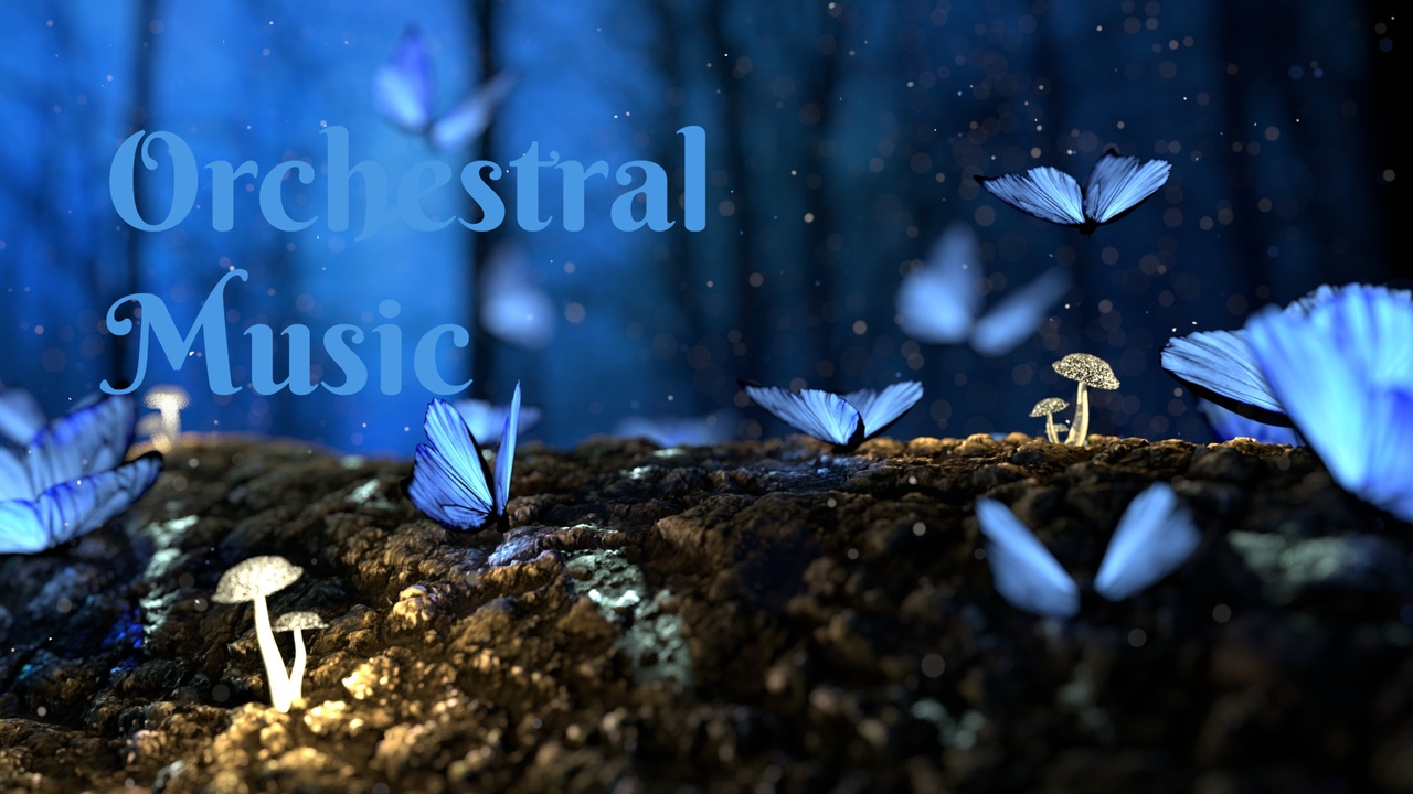 商品 Orchestral Music 的媒体 1