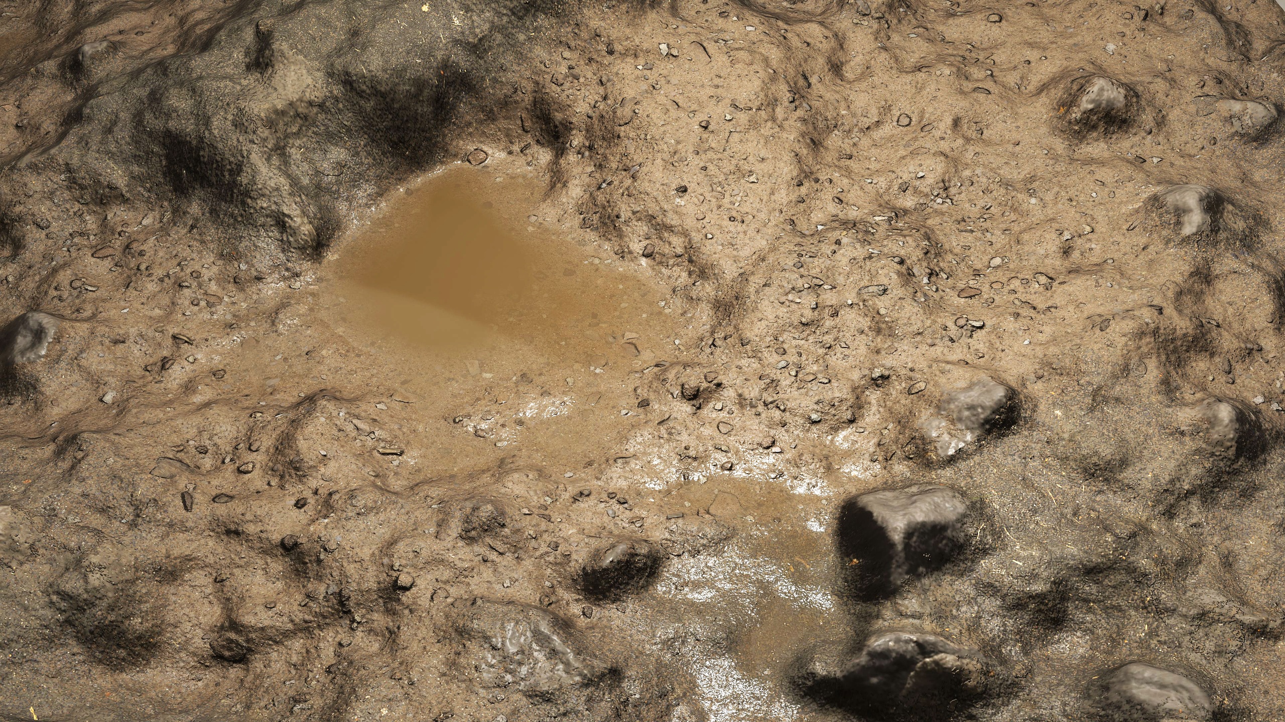 Media 1 for listing Wet Terrain 8K PBR Texture