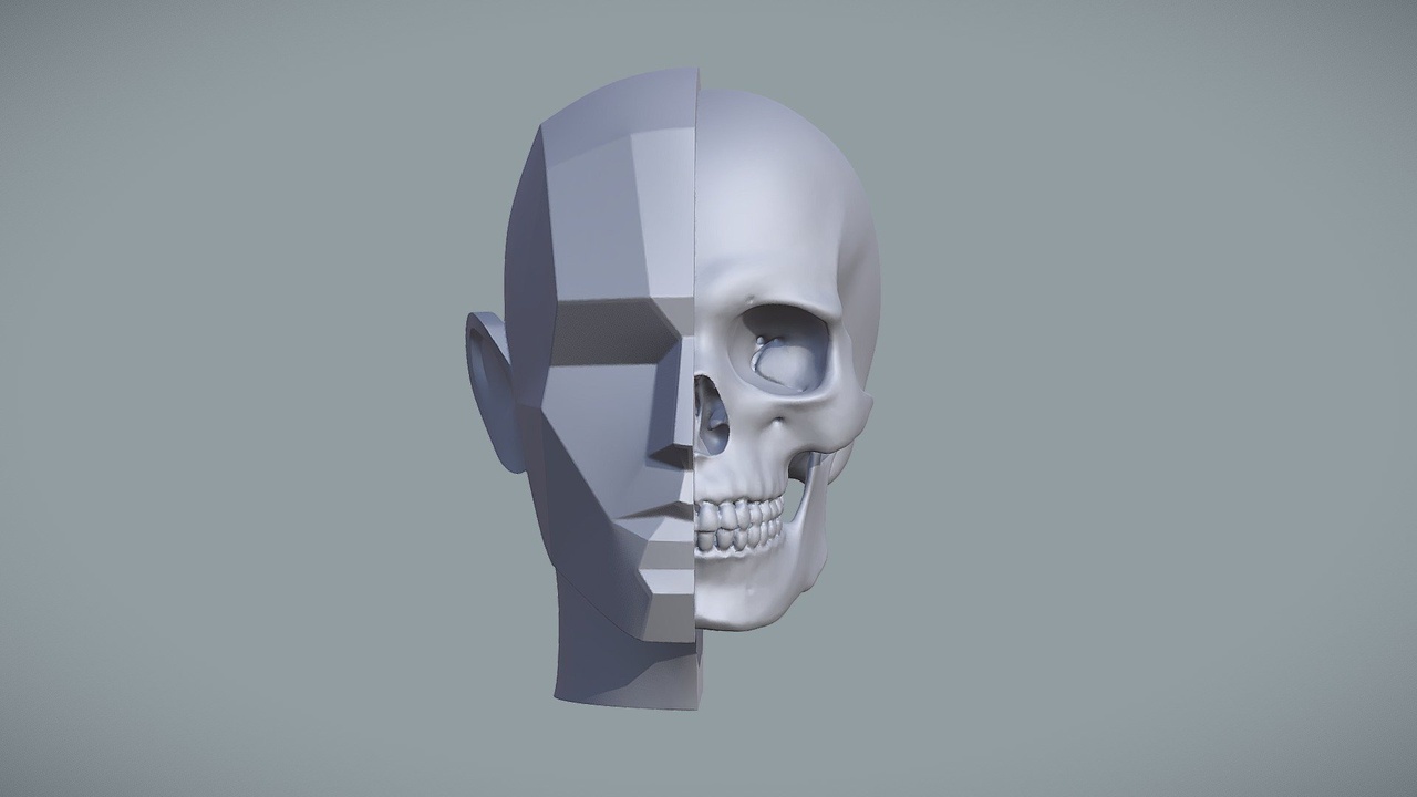 Media 1 for listing Base Head Planes With Skull