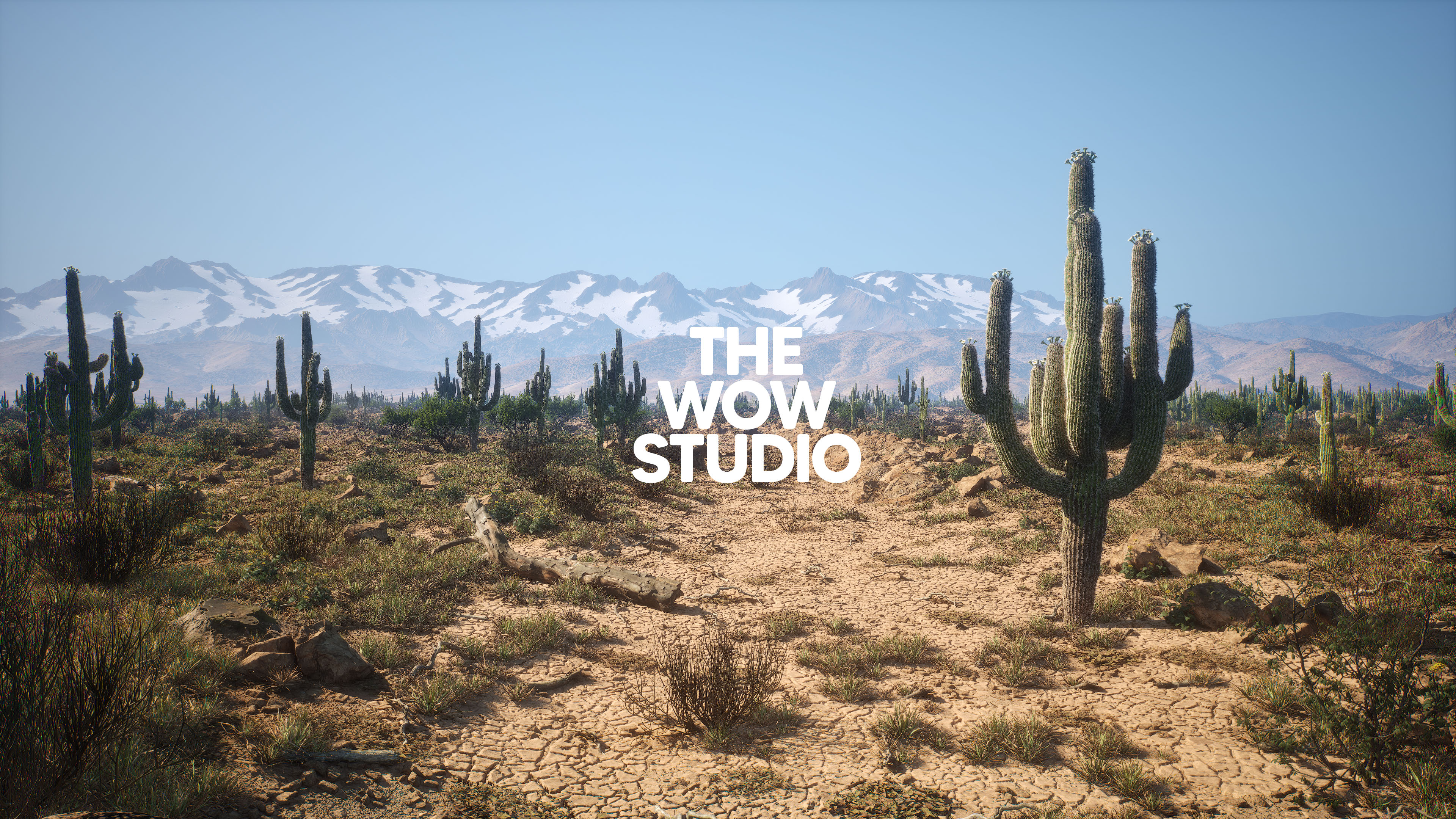 Pcg Desert Example TWS - PCG Rocky Desert Biome | Fab