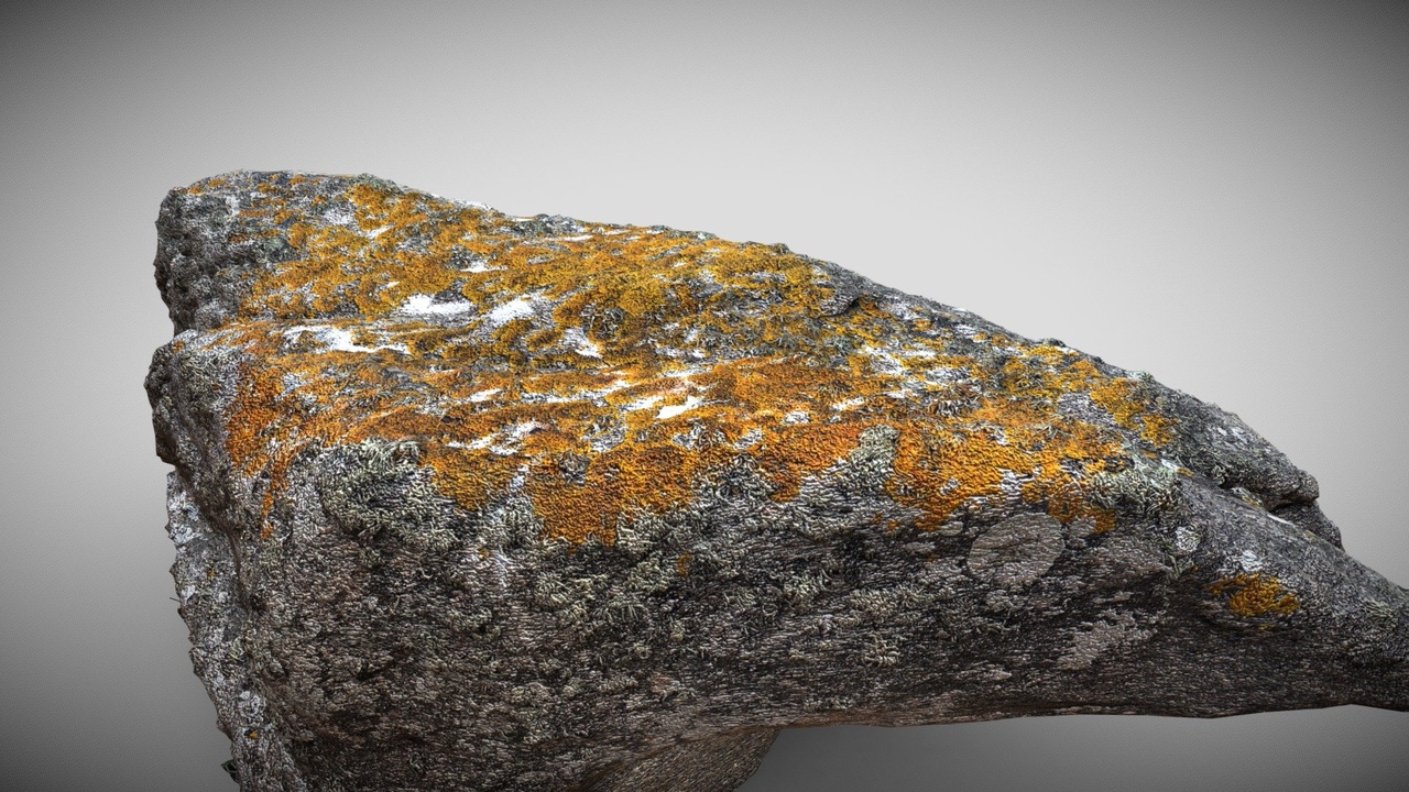 Media 1 for listing Orange Moss Boulder Photoscan