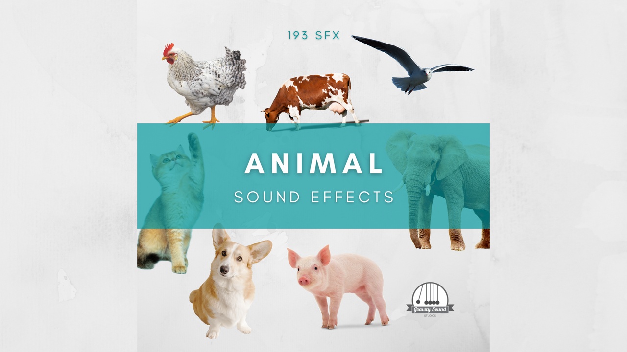 Media 1 for listing Animal Sound Effects