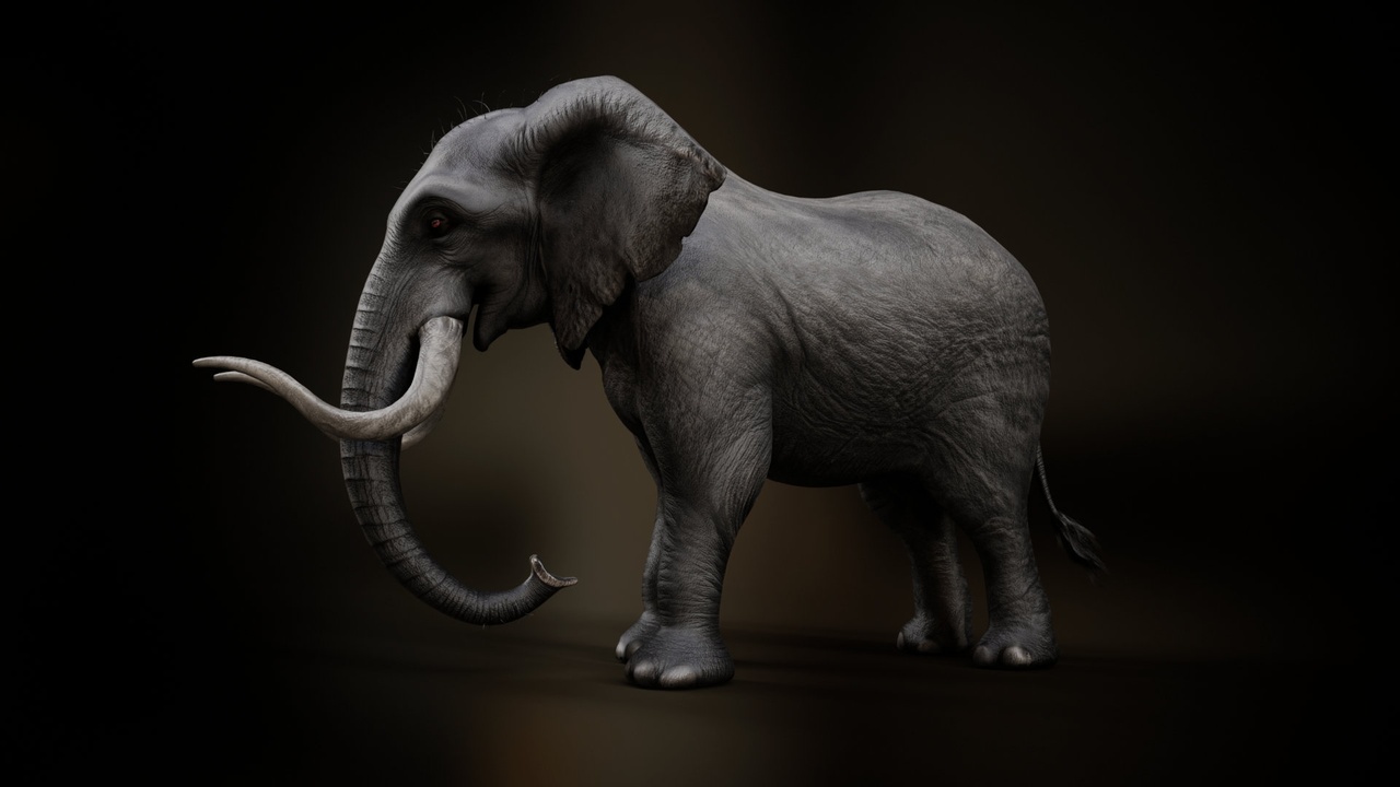 Media 1 for listing Elephant_A3