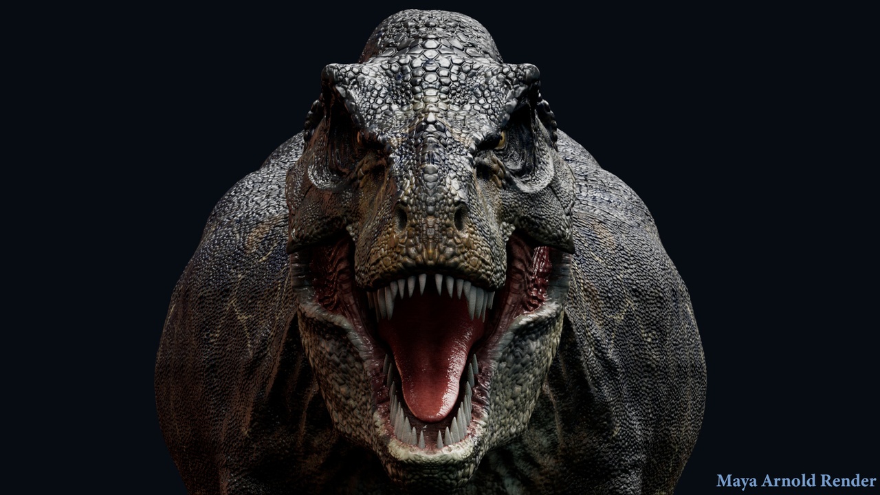 Media 1 for listing Dinosaur Tyrannosaurus Rex Sue