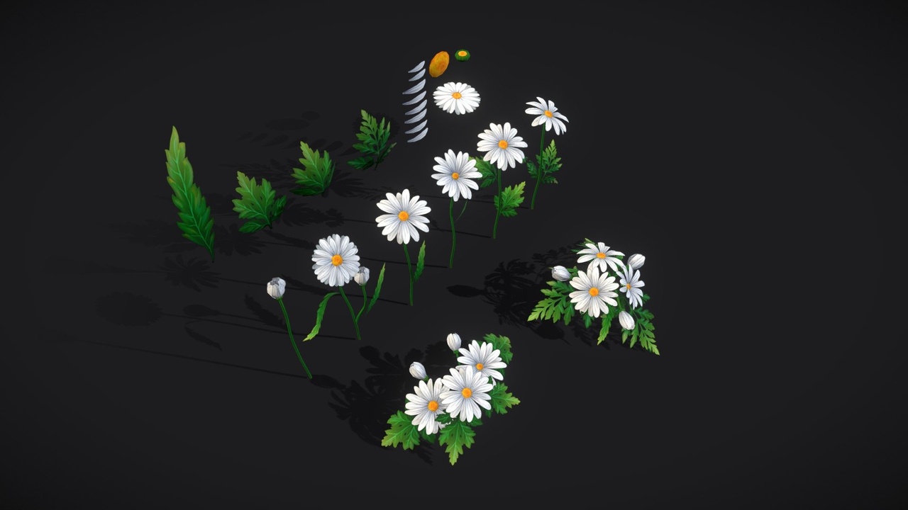 Media 1 for listing Handpainted stylized Daisies