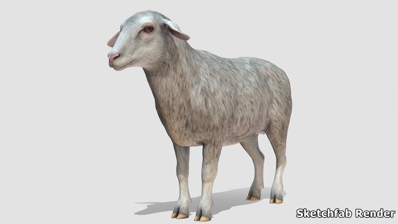 Sheep 제품 등록을 위한 미디어 1개