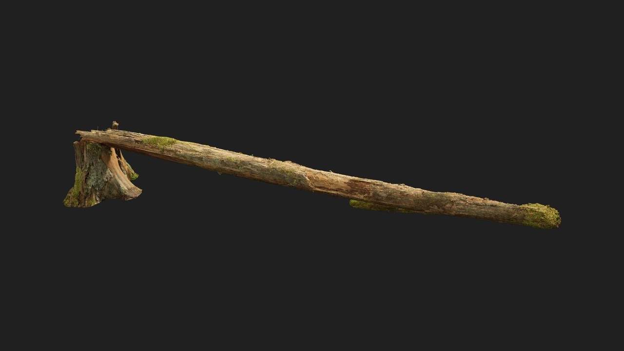 商品 Nordic Forest Tree Fallen Medium 的媒体 1