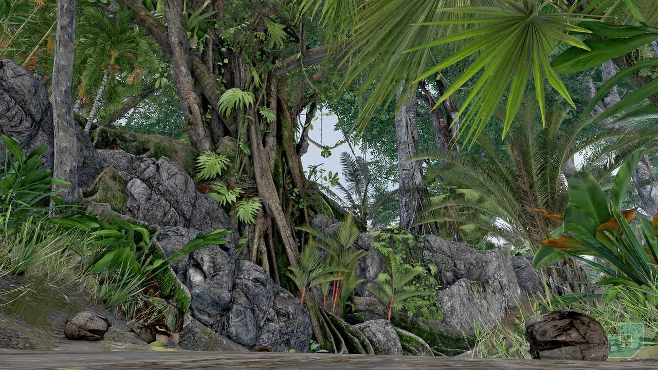 Media 1 for listing Tropical Jungle