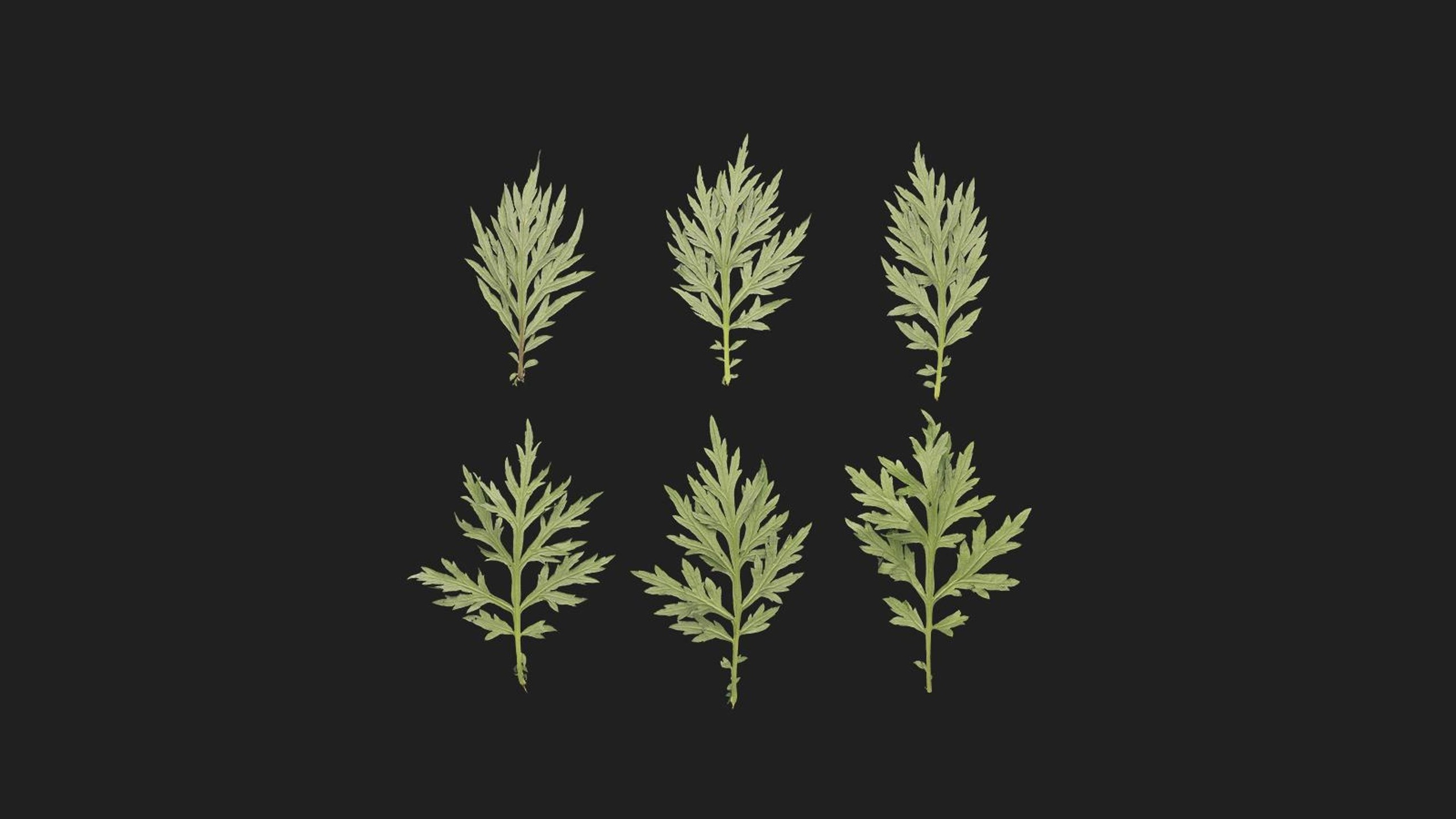 Mugwort 제품 등록을 위한 미디어 1개