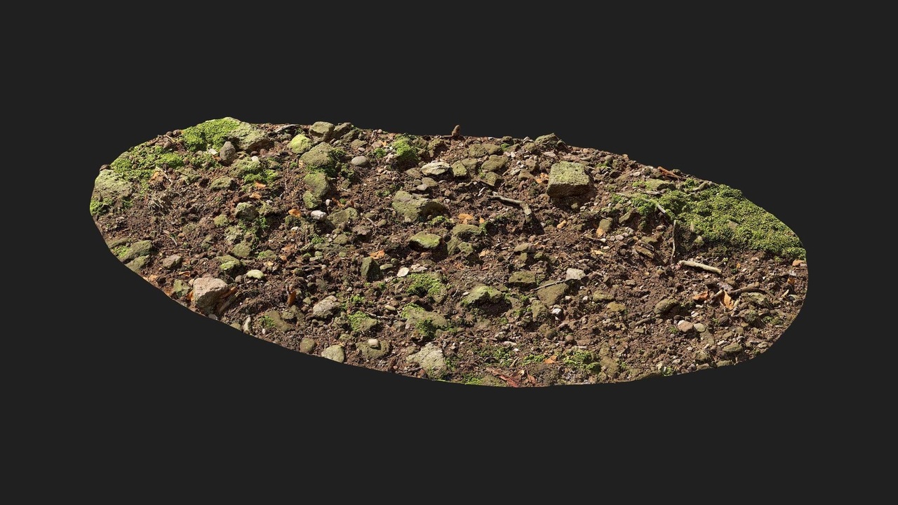 Multimedia 1 dla listy Forest European Broadleaf Ground Rock S 02