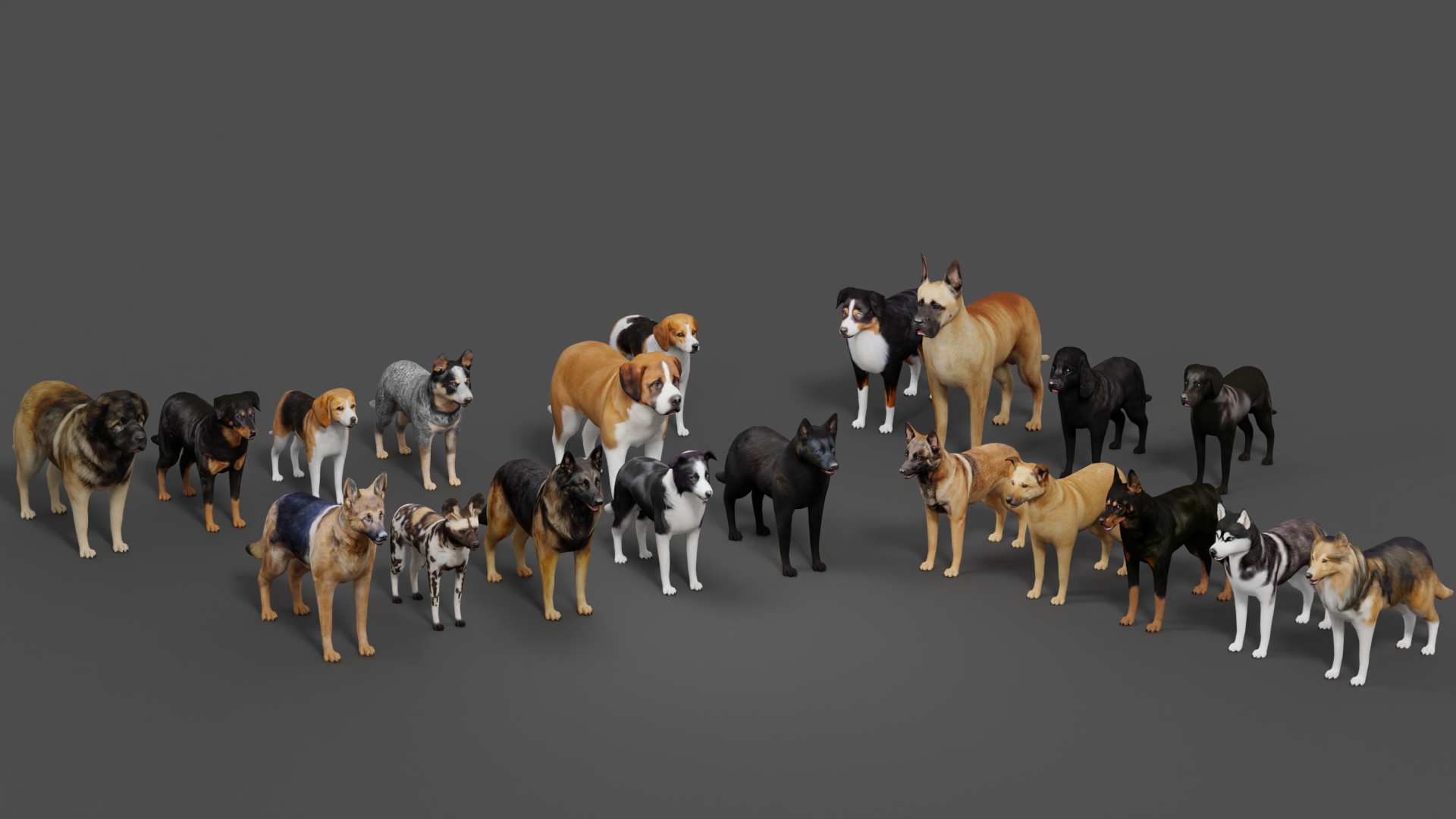 Dog Character and Animation Pack | Fab