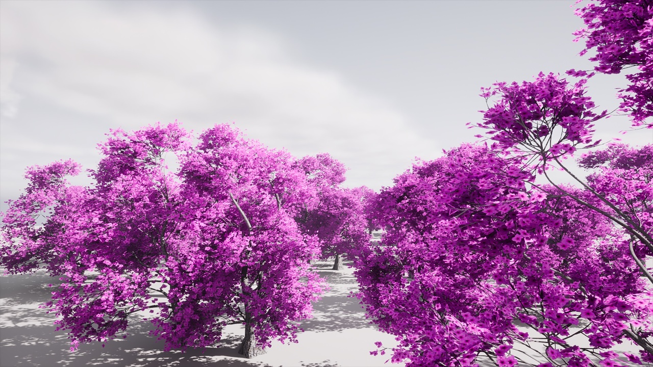 Media 1 for listing HighPoly Tree Pack 42