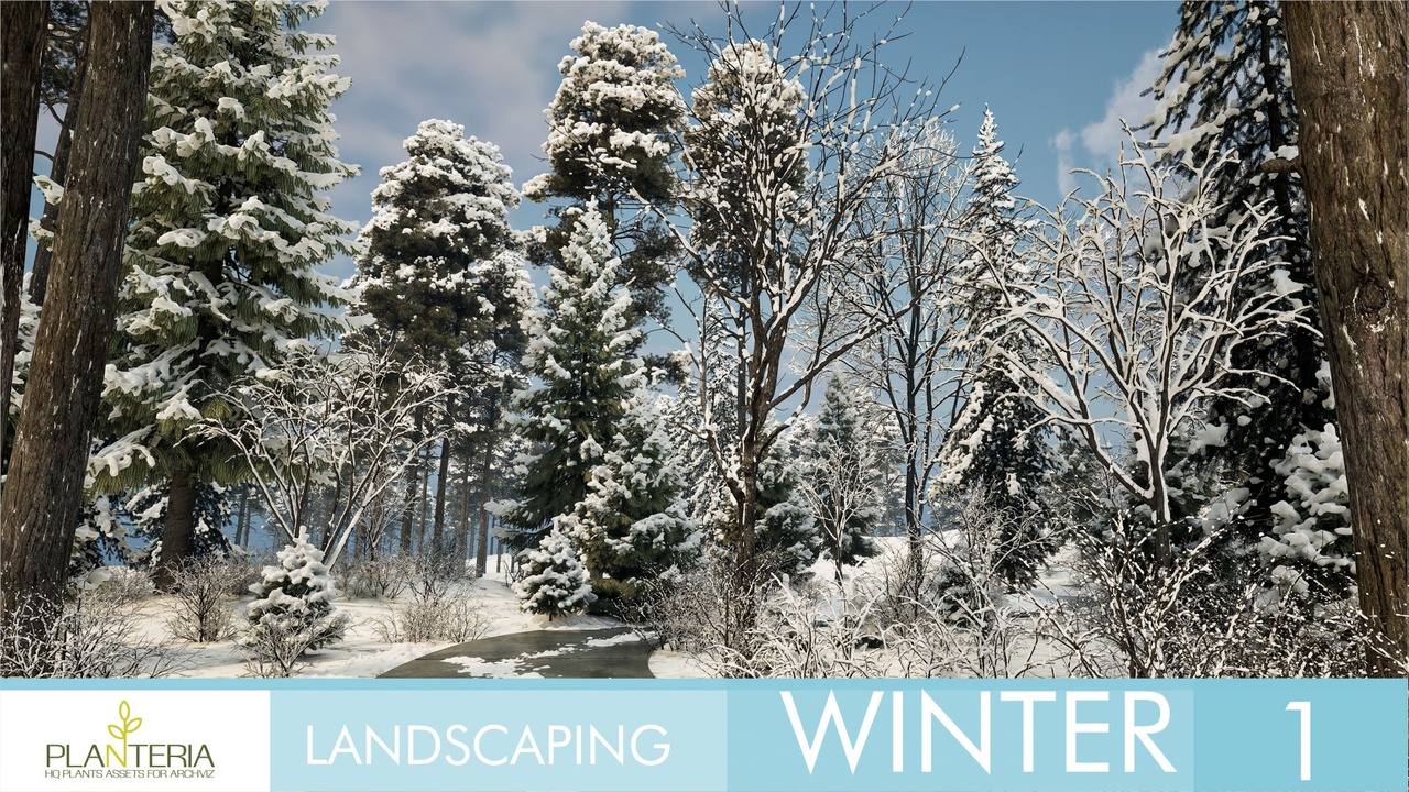 商品 Landscaping Winter 1 的媒体 1