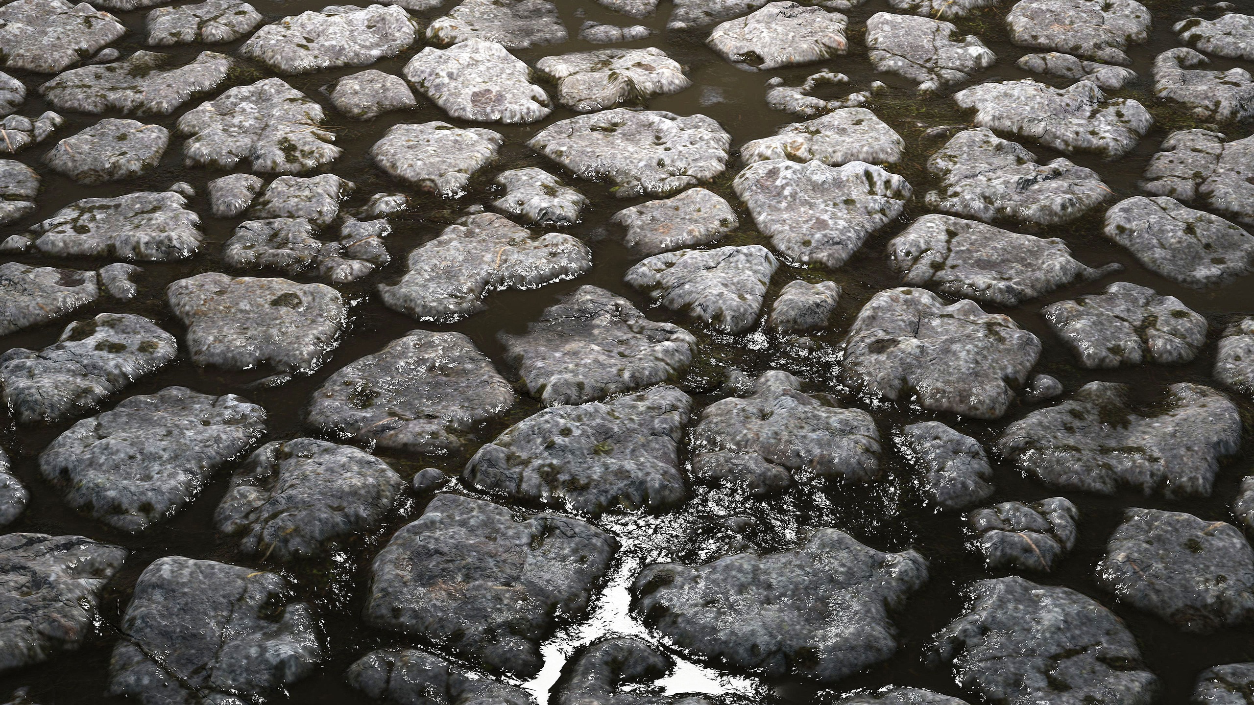 Media 1 for listing Wet Cobblestones 8K PBR Texture