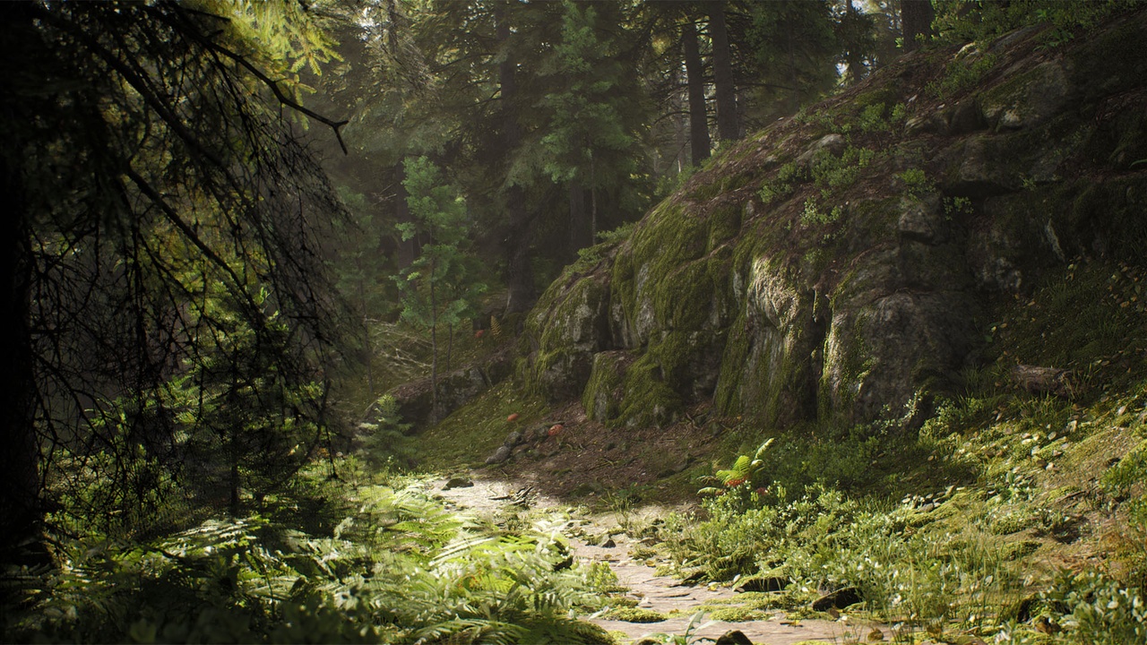 Media 1 for listing Nordic Conifer Biome
