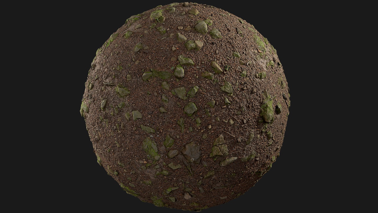 Forest Ground (FEa7uG) | Fab