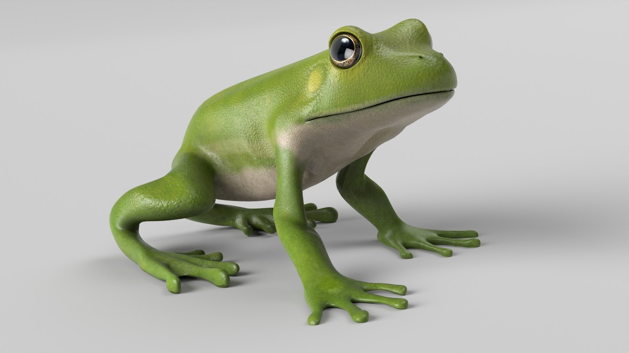 Media 1 for listing Green Tree Frog Animated
