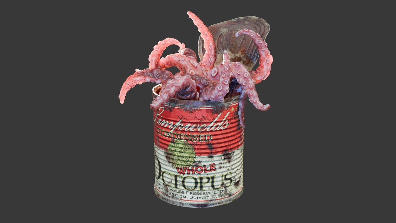 Media 1 for listing Octopus in a Can