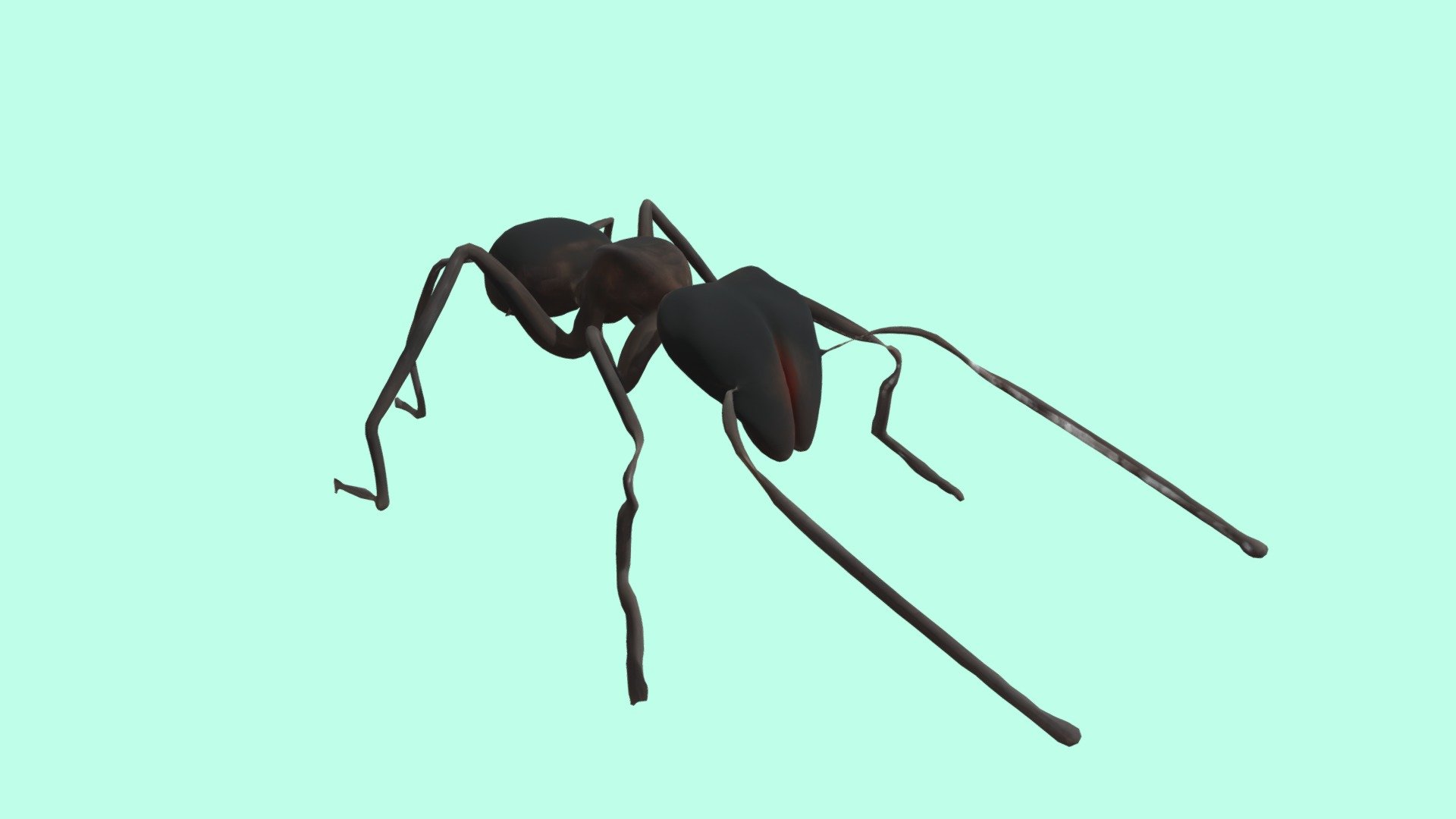 Realistic Ant Insect | Fab