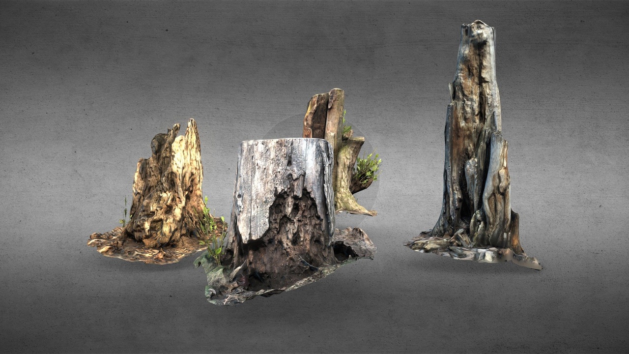 Media 1 for listing 4x Photoscanned tree Stumps, lowpoly