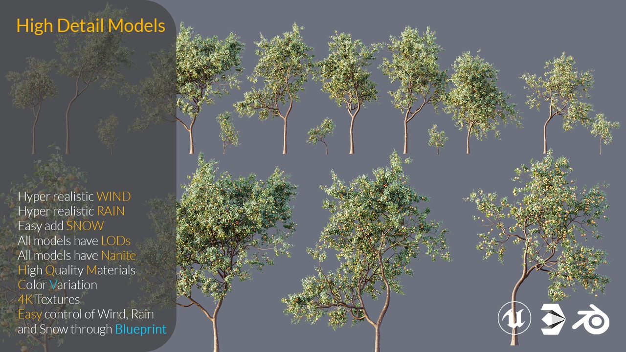 Media 1 for listing XQ High Detail 3D Model Assets Plant Armeniaca Vulgaris Prunus Fruit Tree