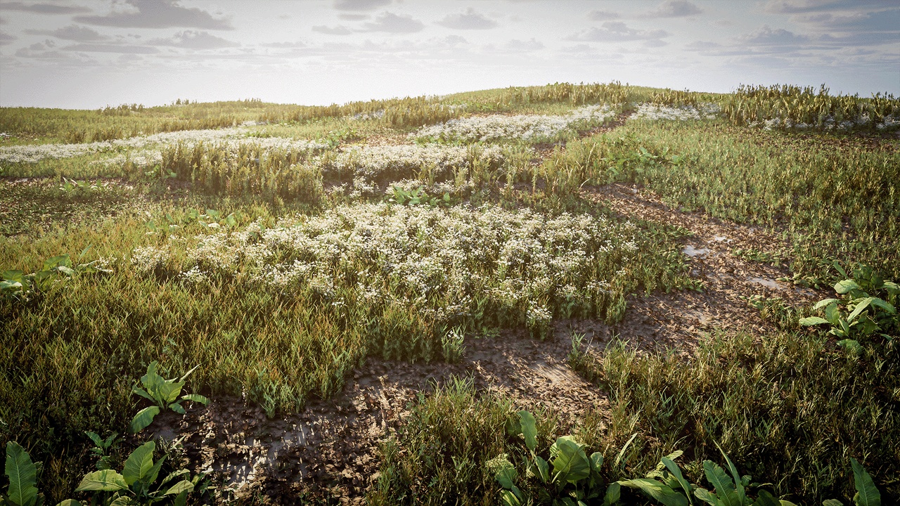 Media 1 for listing Wild Meadow Vegetation System - PCG, Low Poly, Wind System