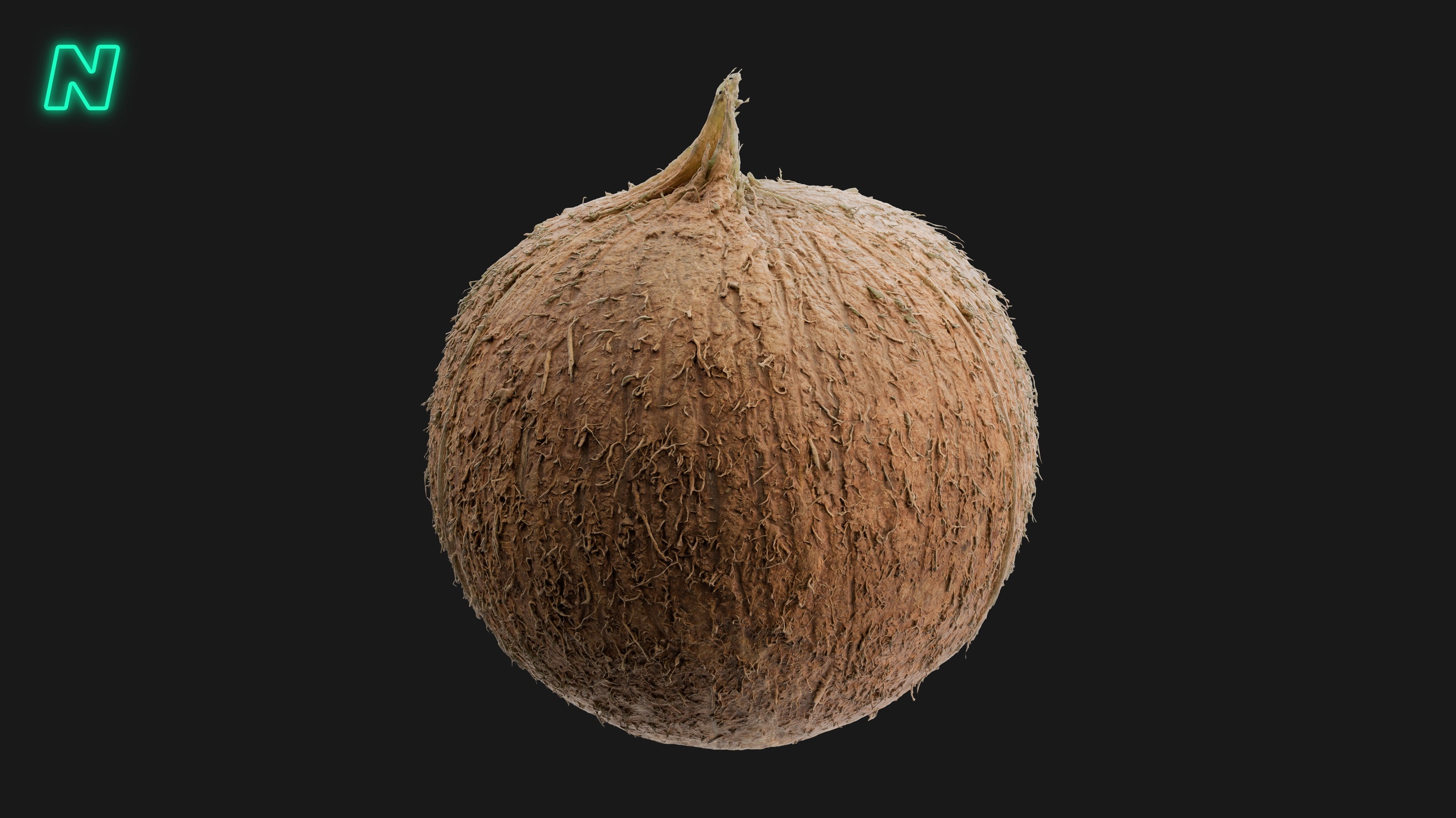 Media 1 for listing Coconut 01 - Tropical Fruit